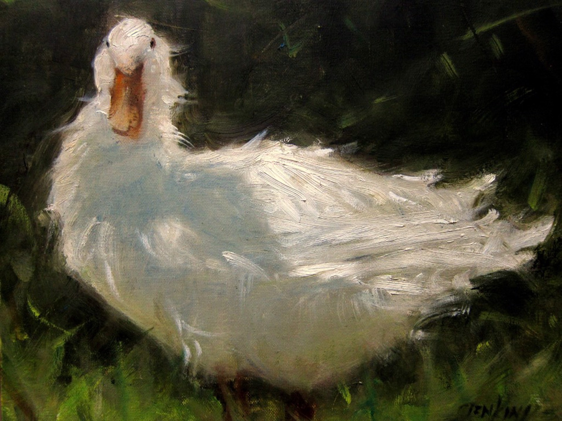 Little White Duck by Carol Jenkins