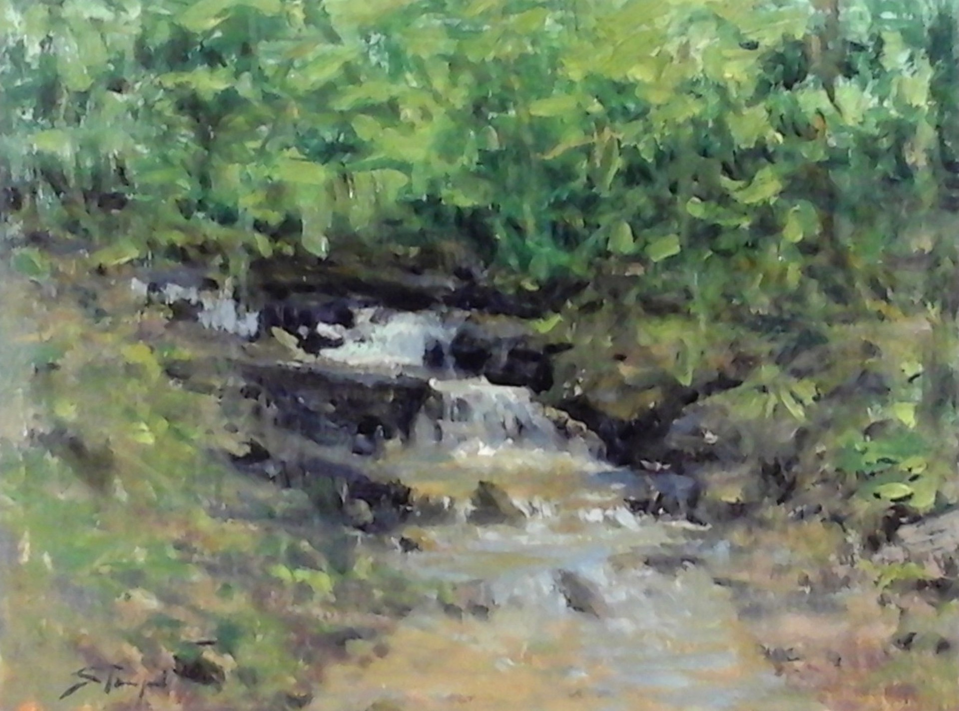 Creek Study by John Stanford