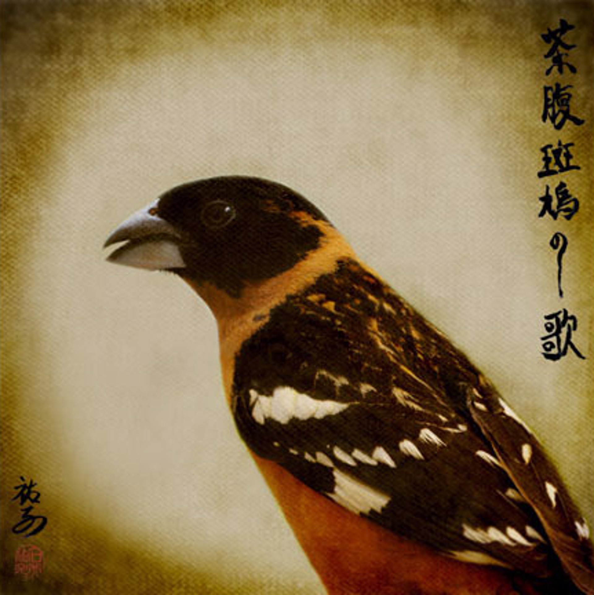 Song of a Black-headed Grosbeak III by Yuko Ishii