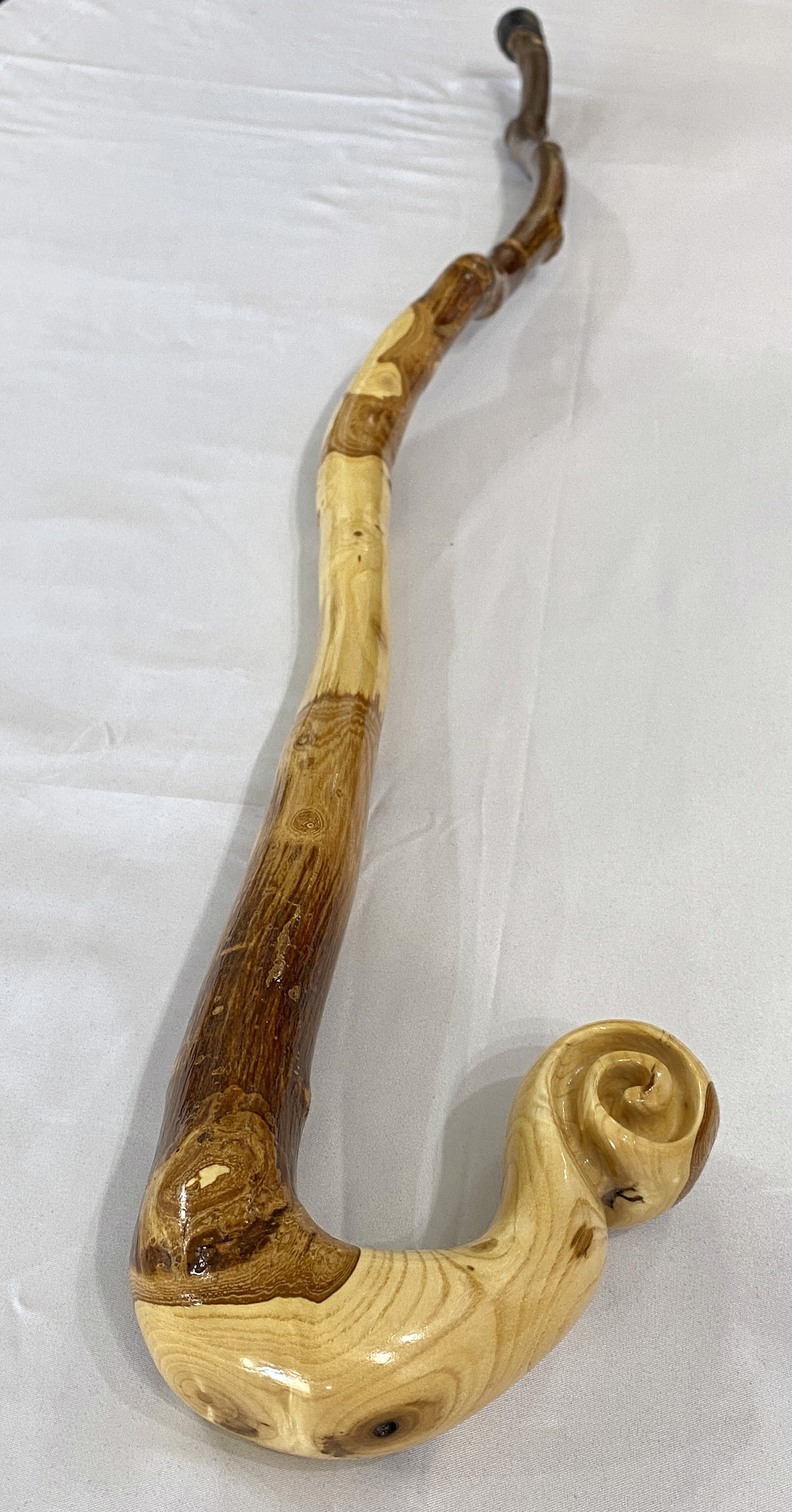 Wooden Walking Stick #8 by Kevin Foote