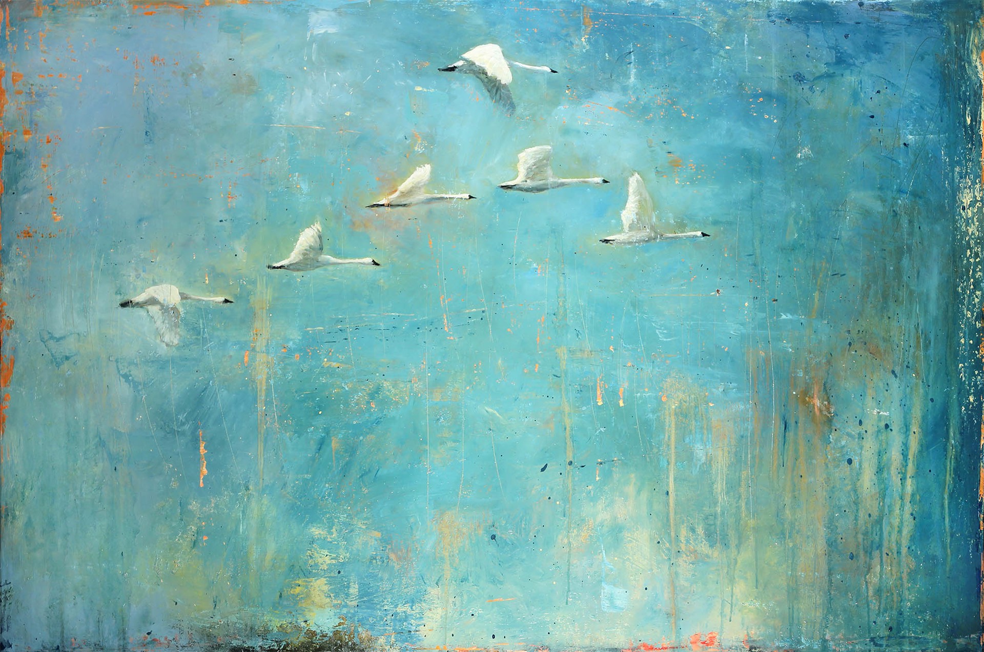 A Contemporary Painting Of Swans In Flight, By Matt Flint, Available At Gallery Wild