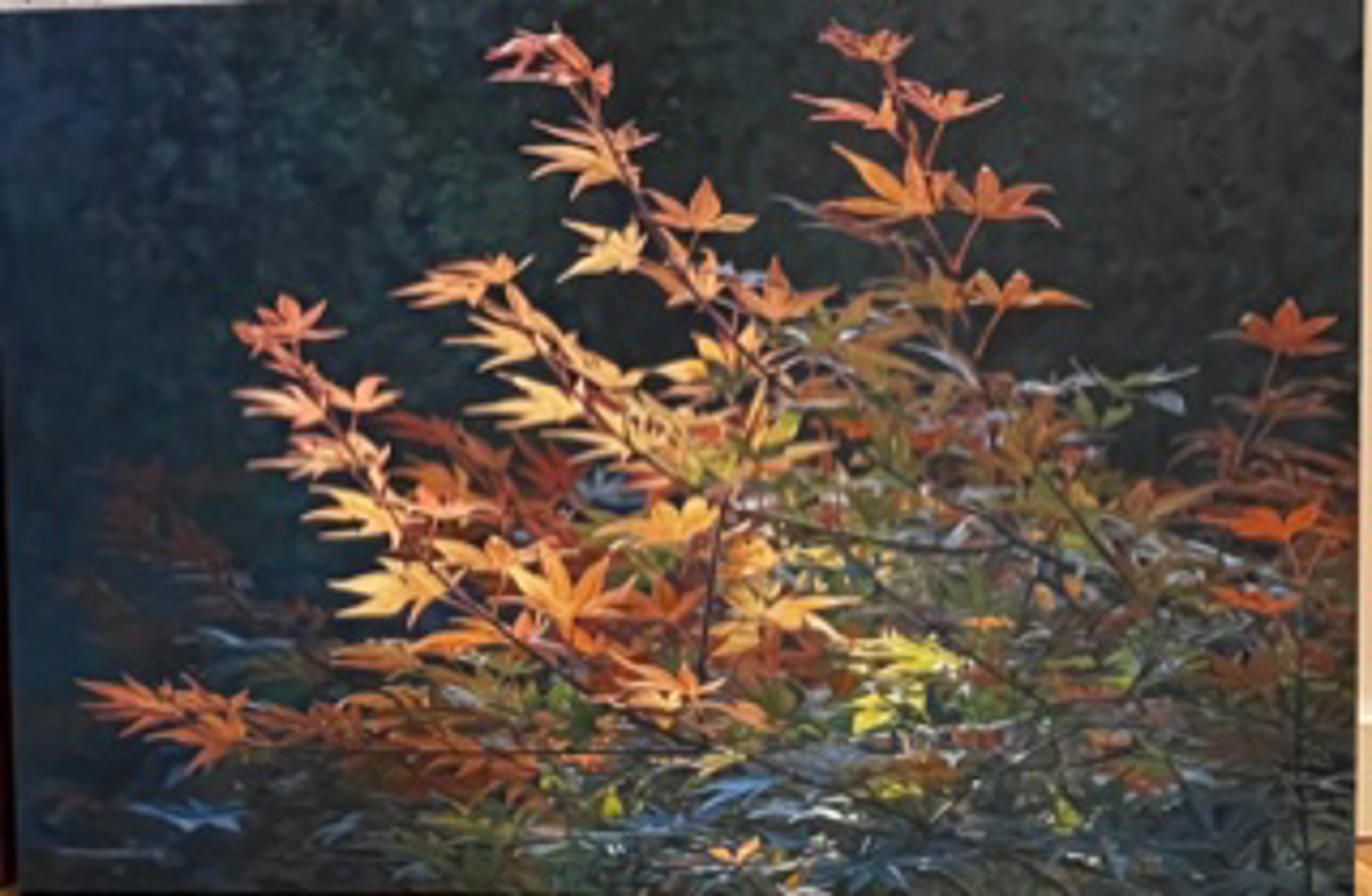 Maple Leaves by Peter Krobath