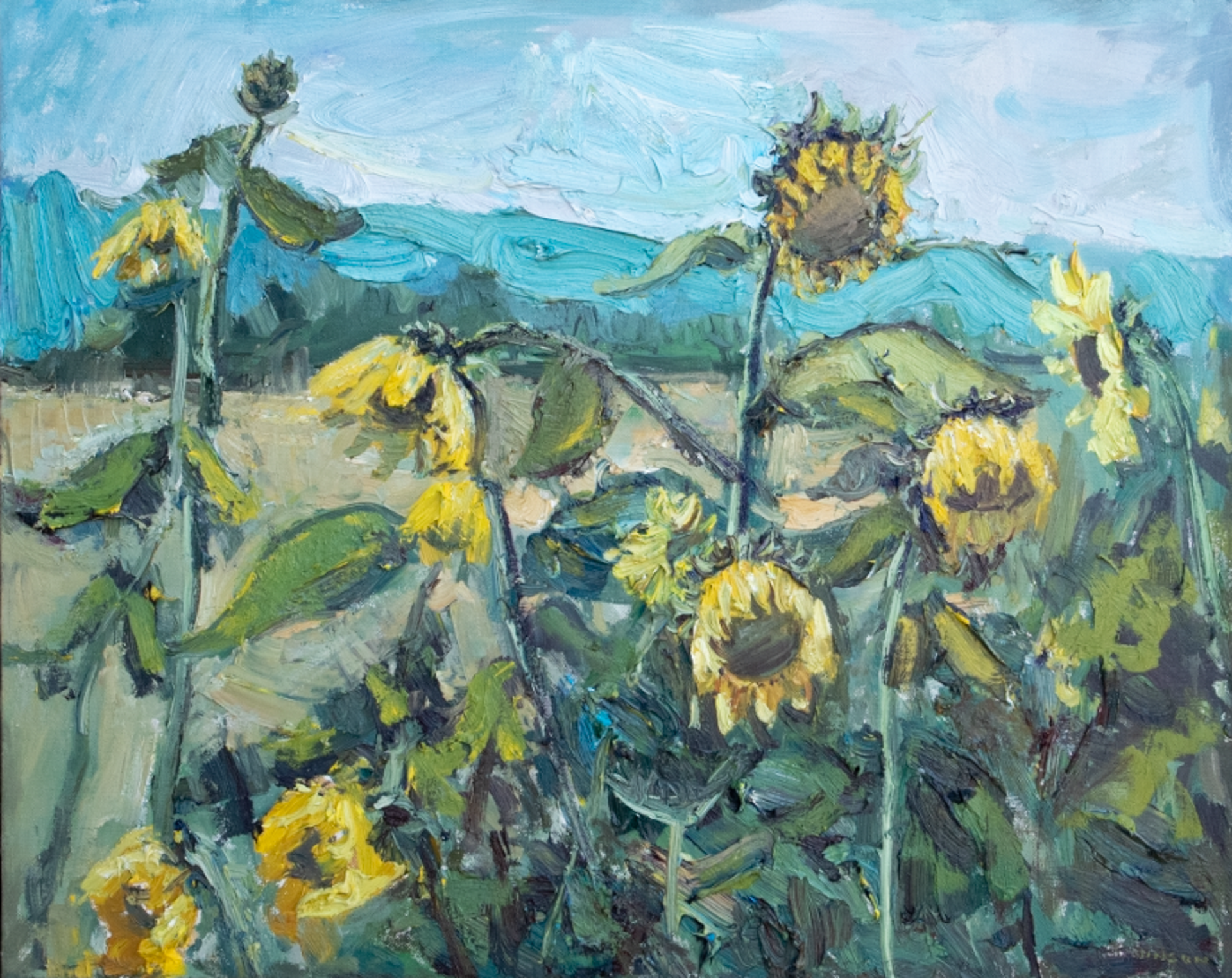 Front Yard Sunflowers by Turner Vinson