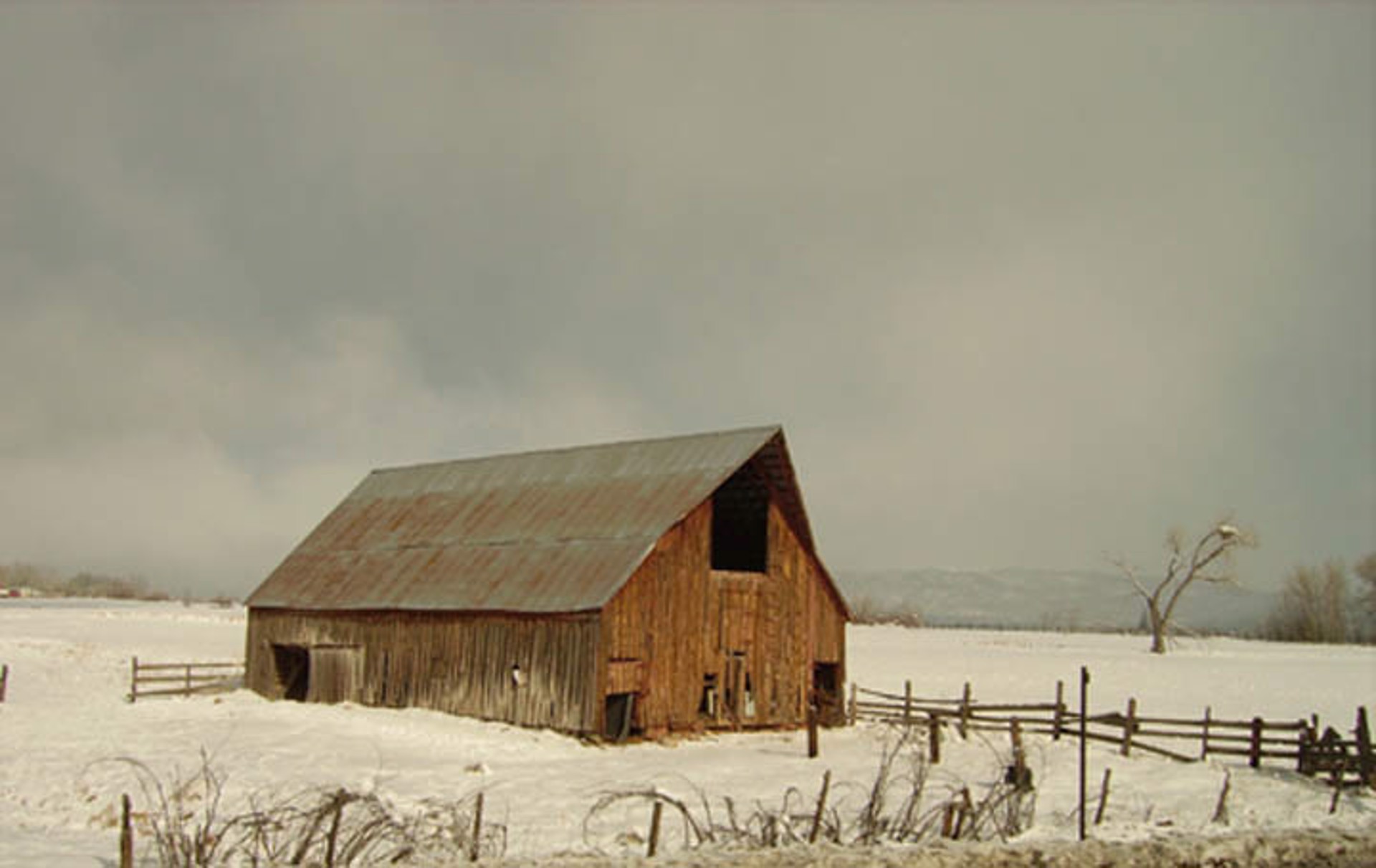 Winter Barn - Colorado by Rob Pitzer
