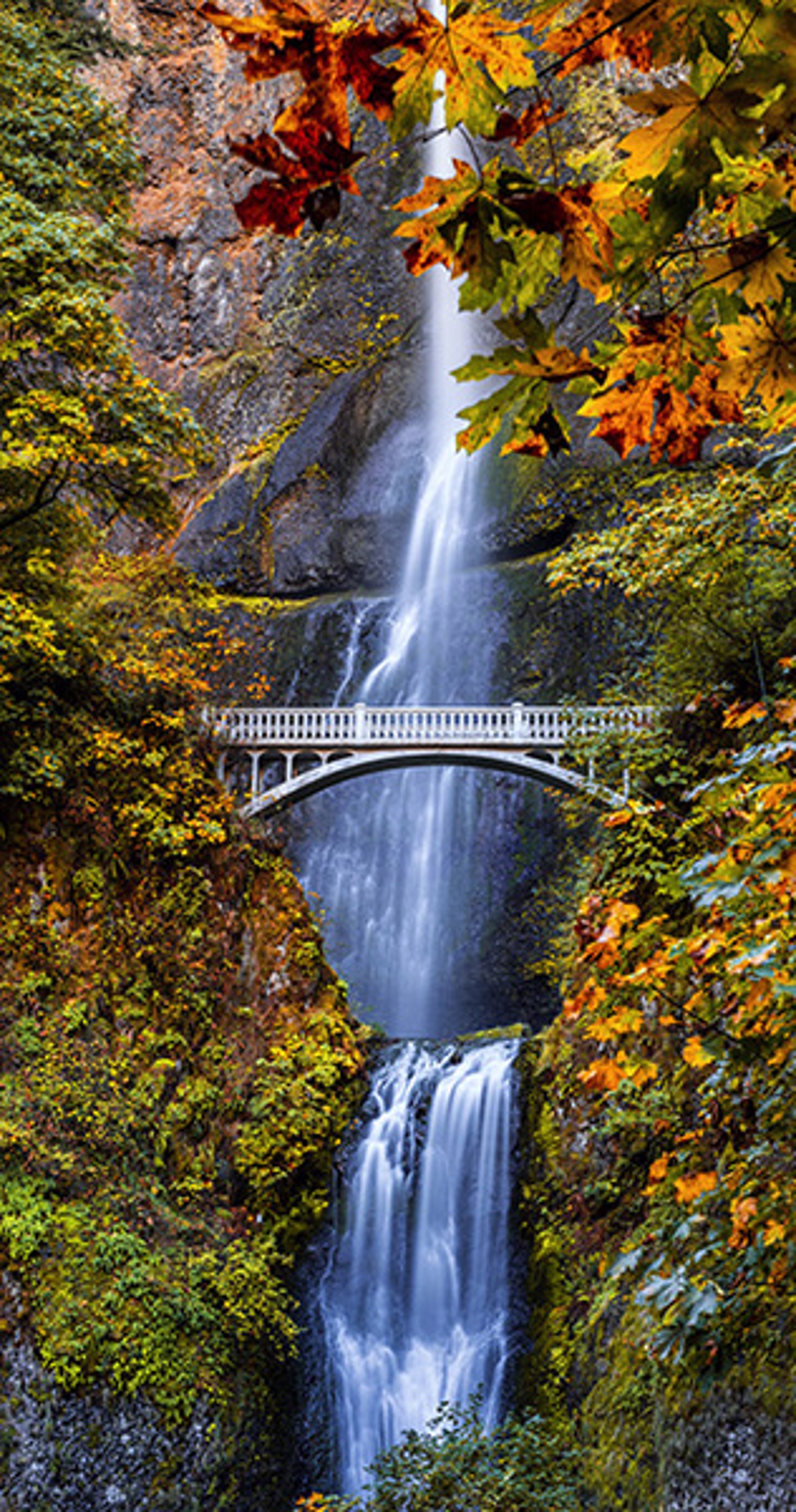Multnomah Fall Colors by Bryan Pezman
