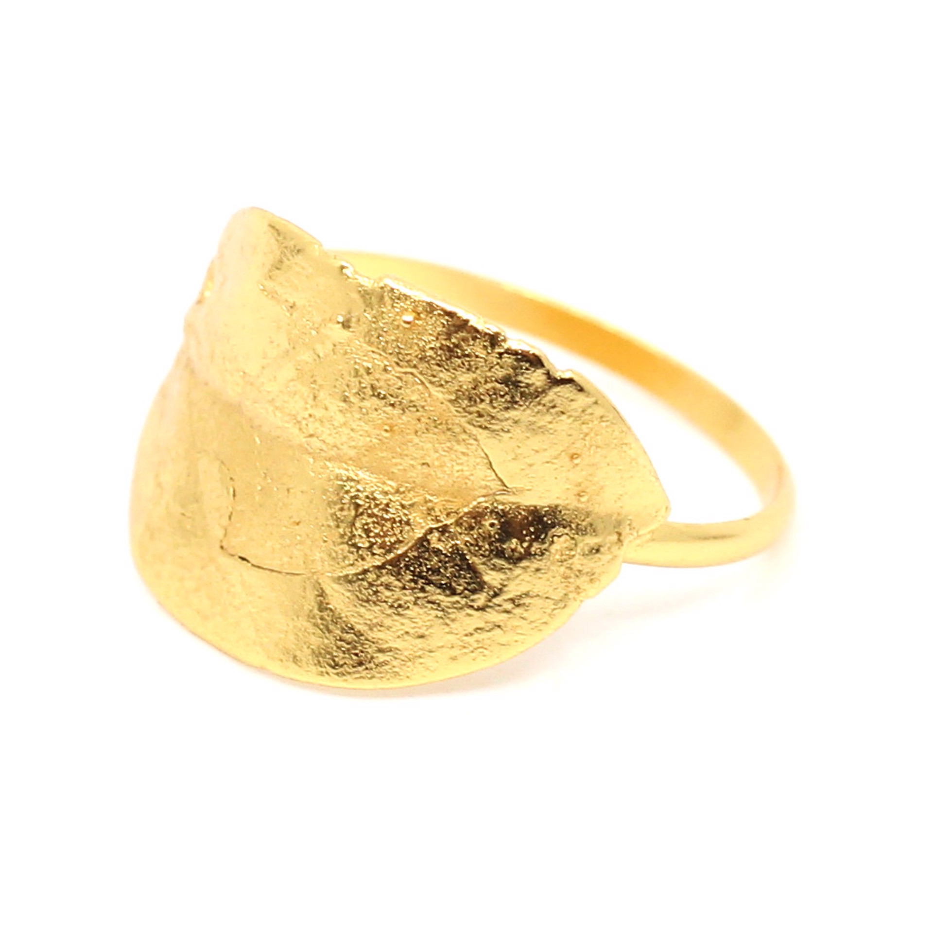 Leaf Ring (Size 8.5) by Anna Johnson