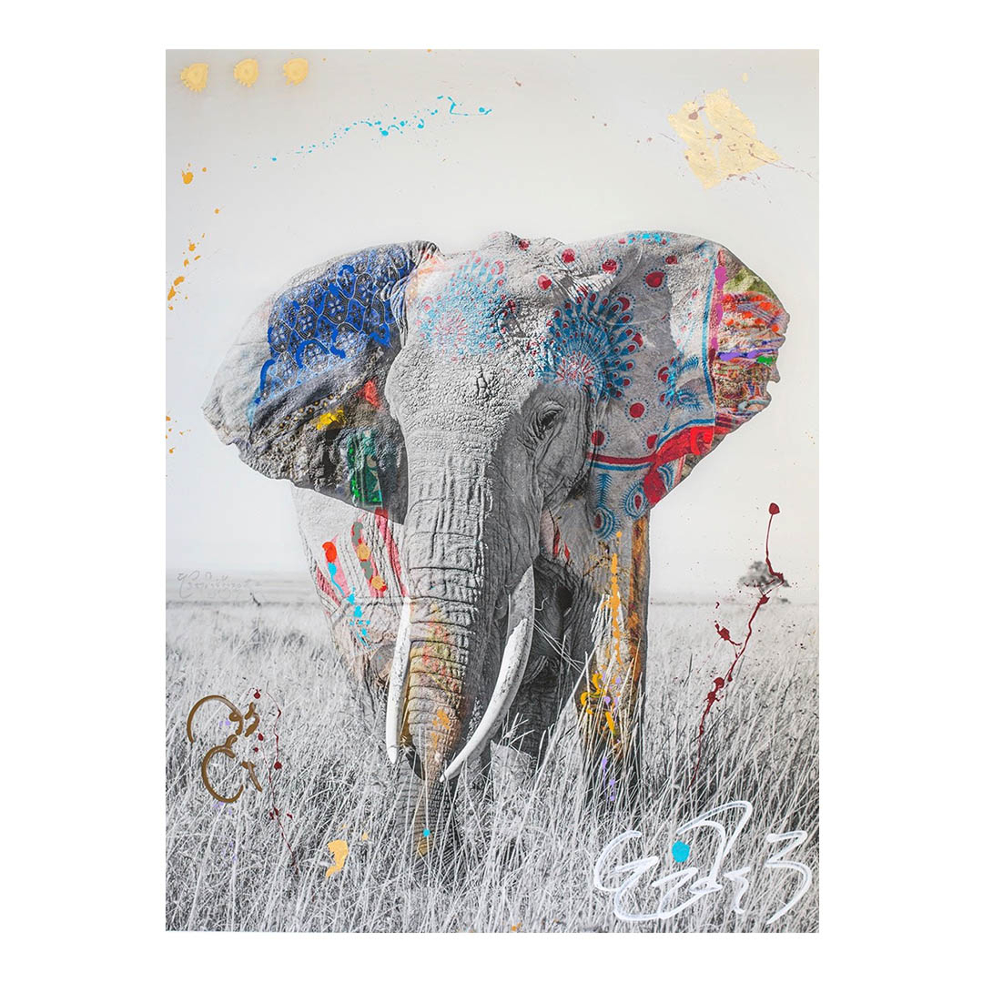 Elephants, Jumbo 7 by Arno Elias