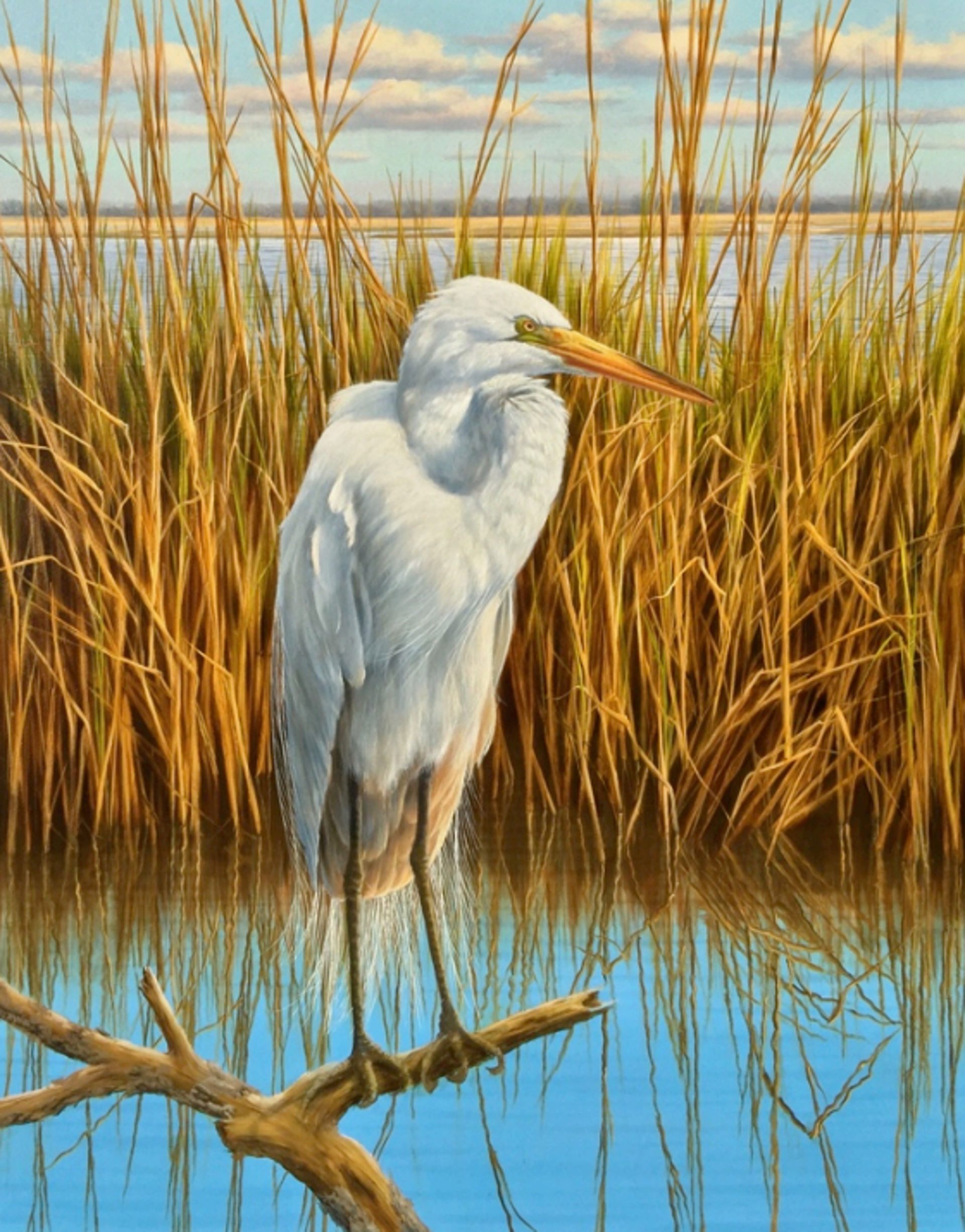 White Egret by Henry Von Genk III