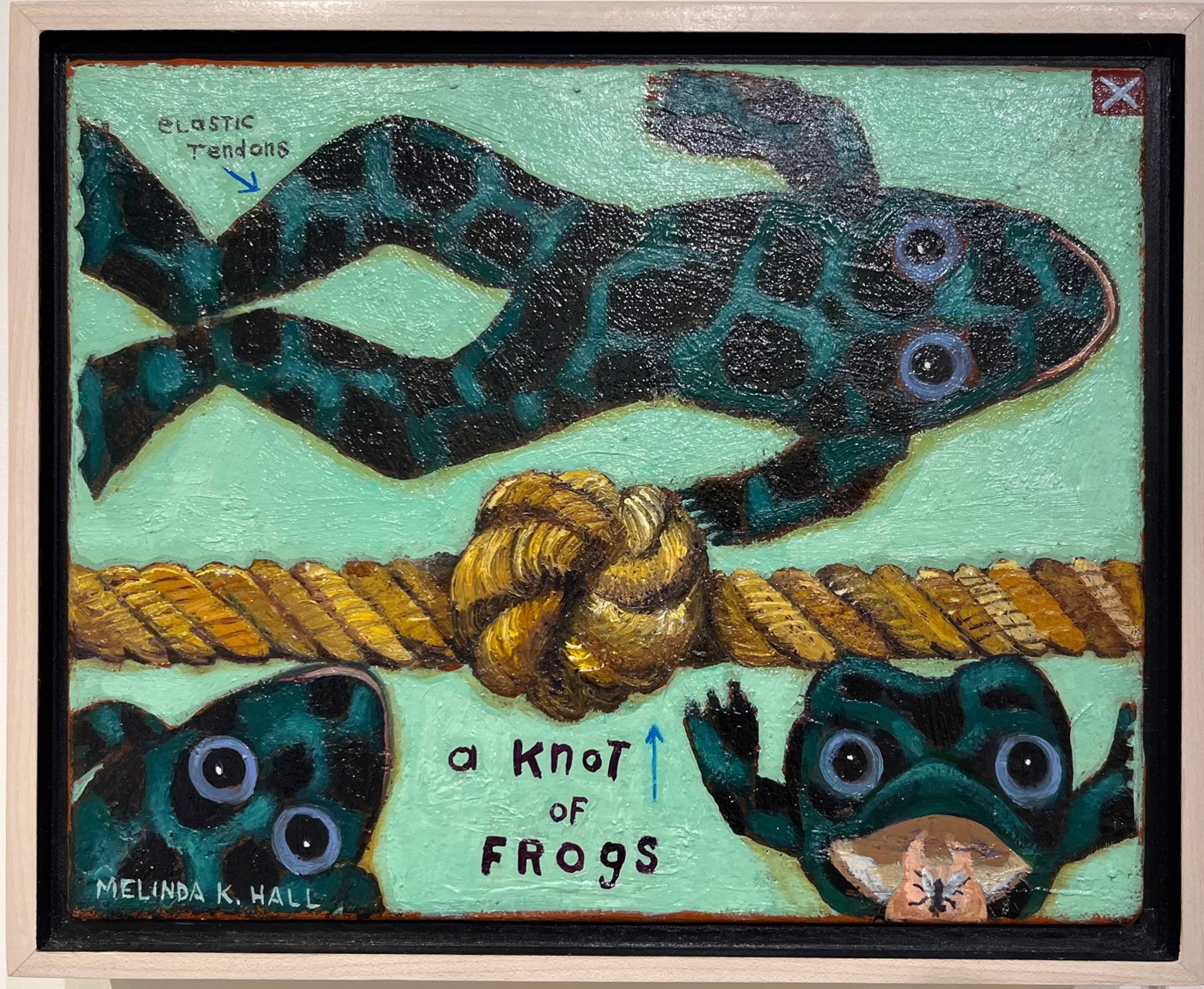A Knot of Frogs by Melinda K. Hall