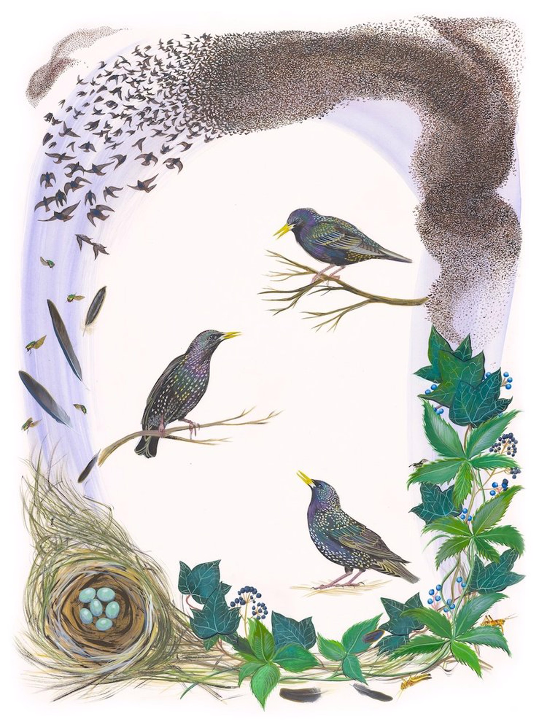 Birds of Shakespeare: European Starling (Sturnus vulgaris) by Missy Dunaway