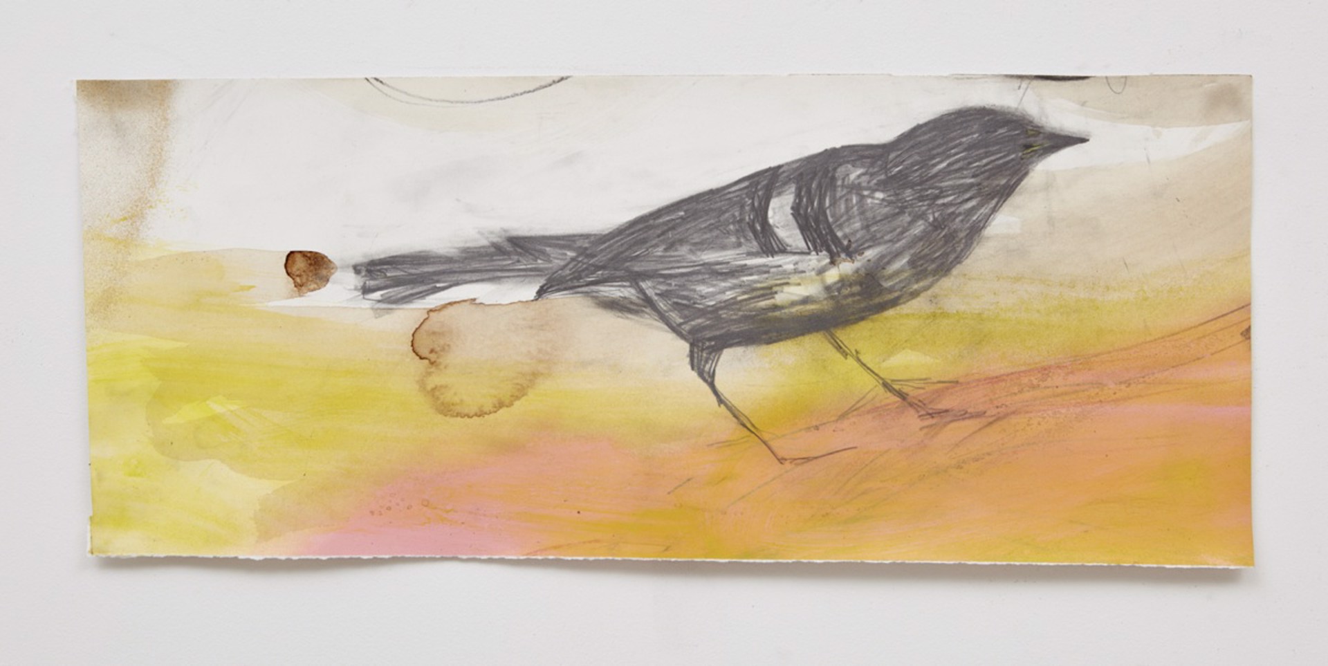 Black Bird on Pink Sand by Jeannie Weissglass