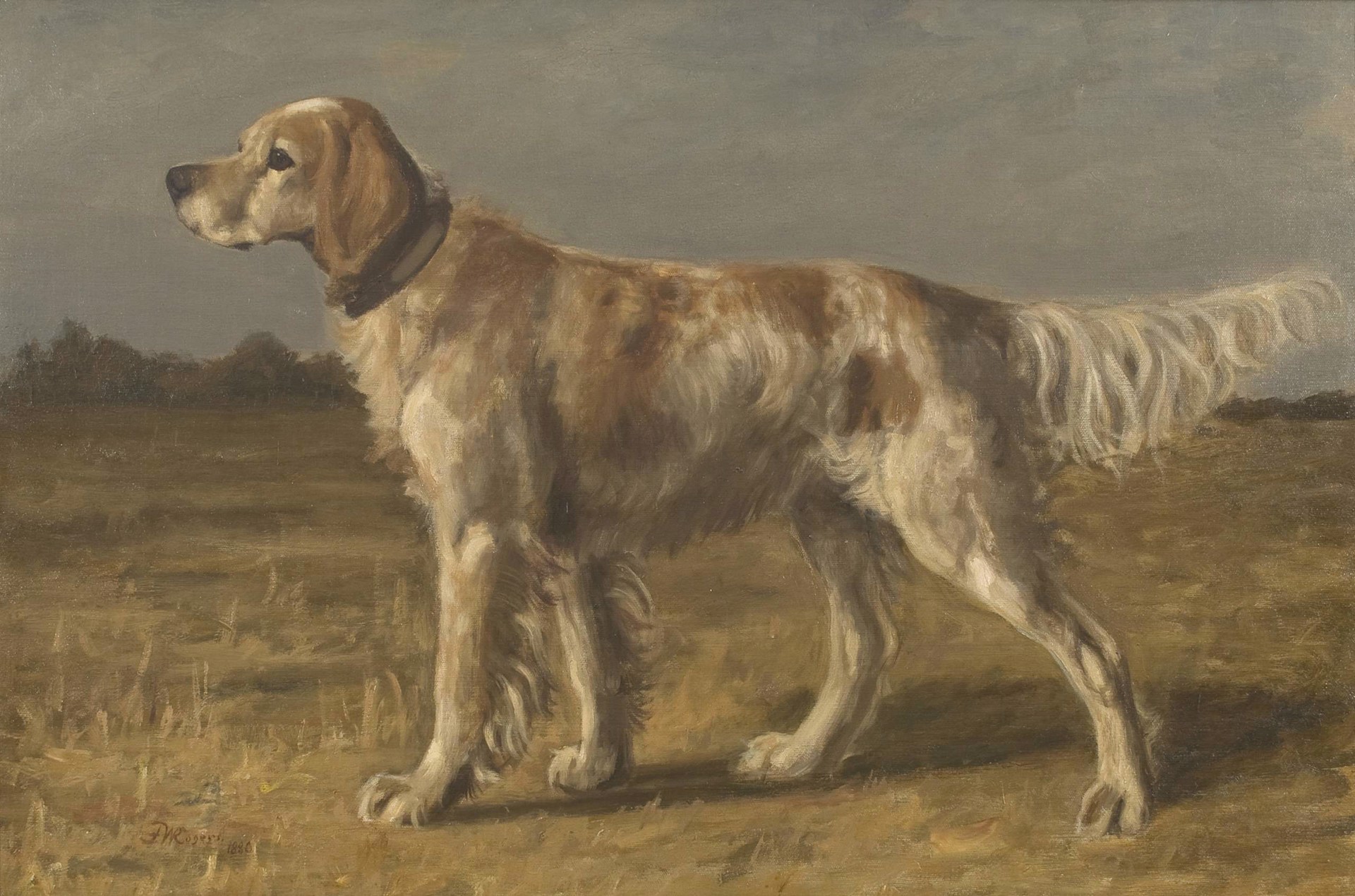 Setter in a Landscape by Franklin Whiting Rogers