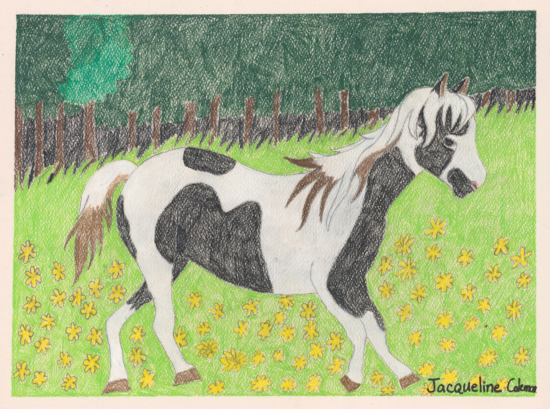 Horse Running in the Yard by Jacqueline Coleman