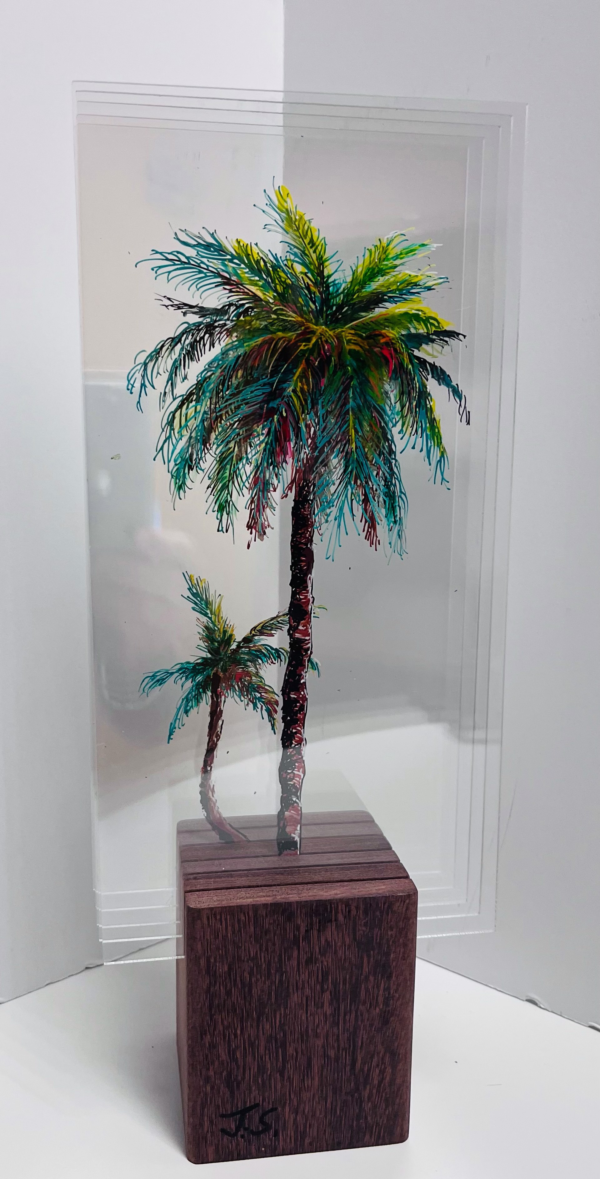 Palms by Joan Schnuerch