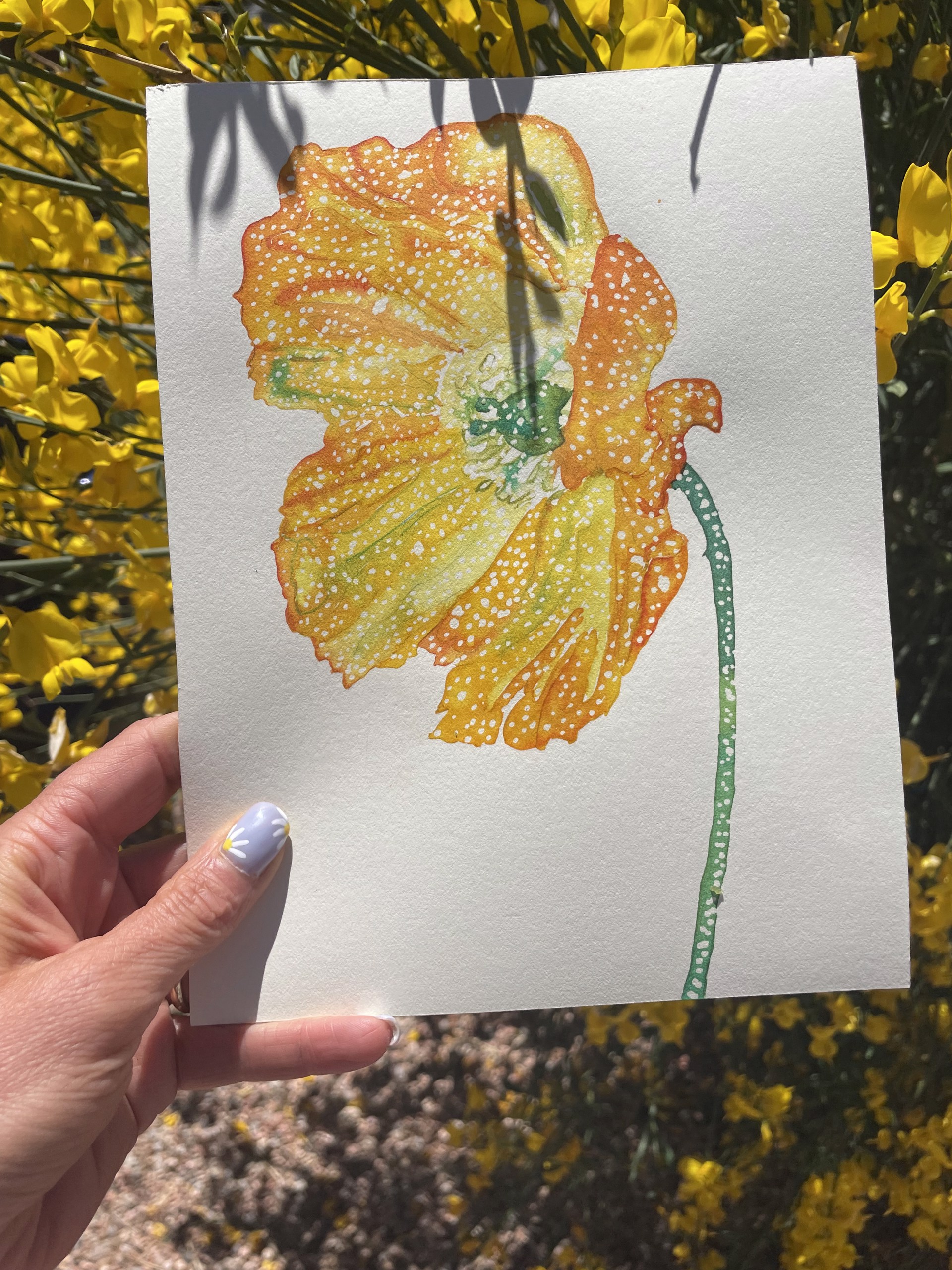 Flowers by Thais Mather
