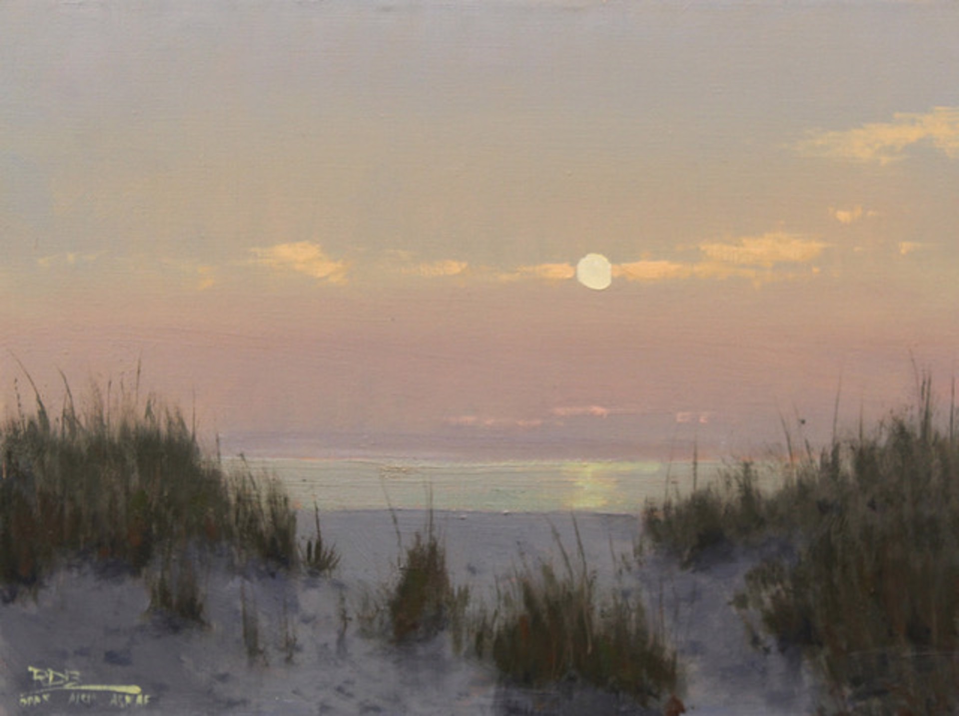 Moonlight Dunes by Roger Dale Brown