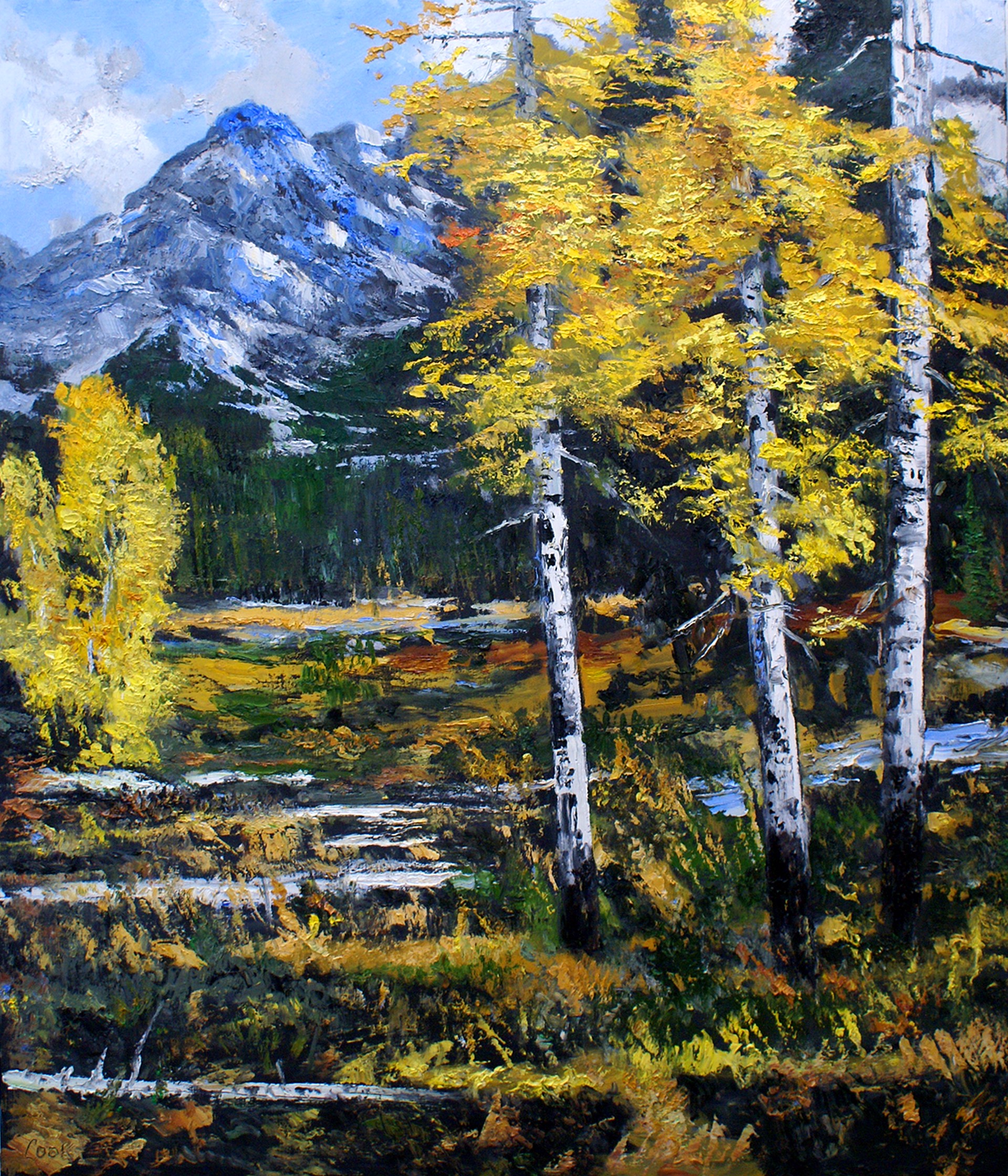 Sawtooth Aspen-Autumn #1 by James Cook