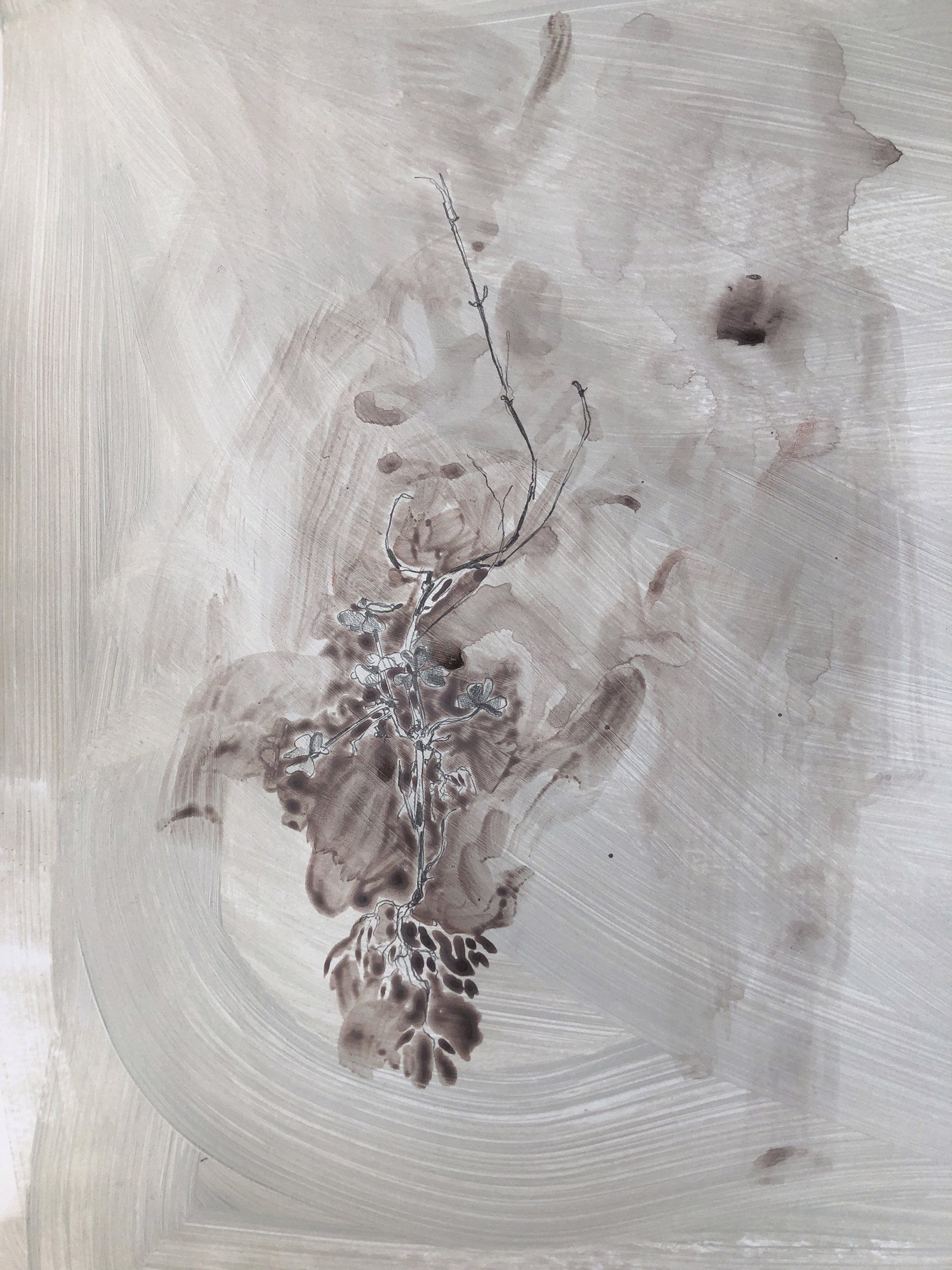 Tall As Your Father by Annalisa Fink