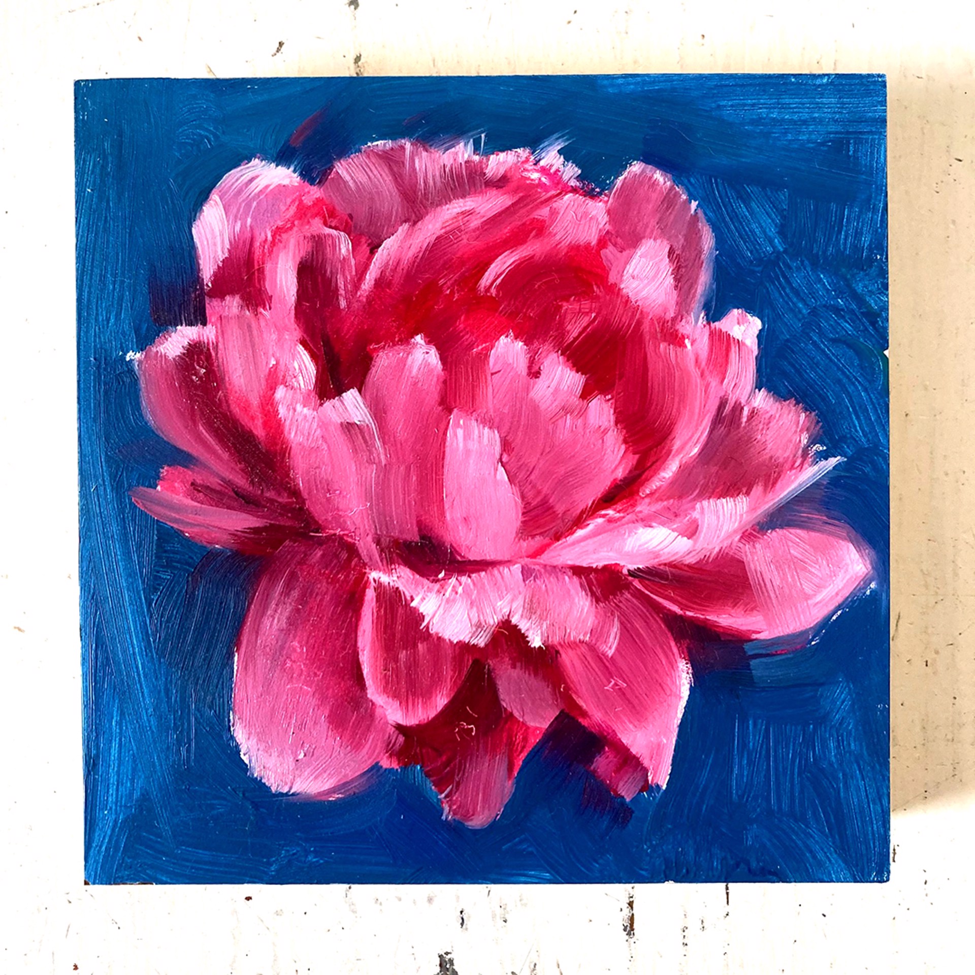 Peony Project #12 by Amy R. Peterson*