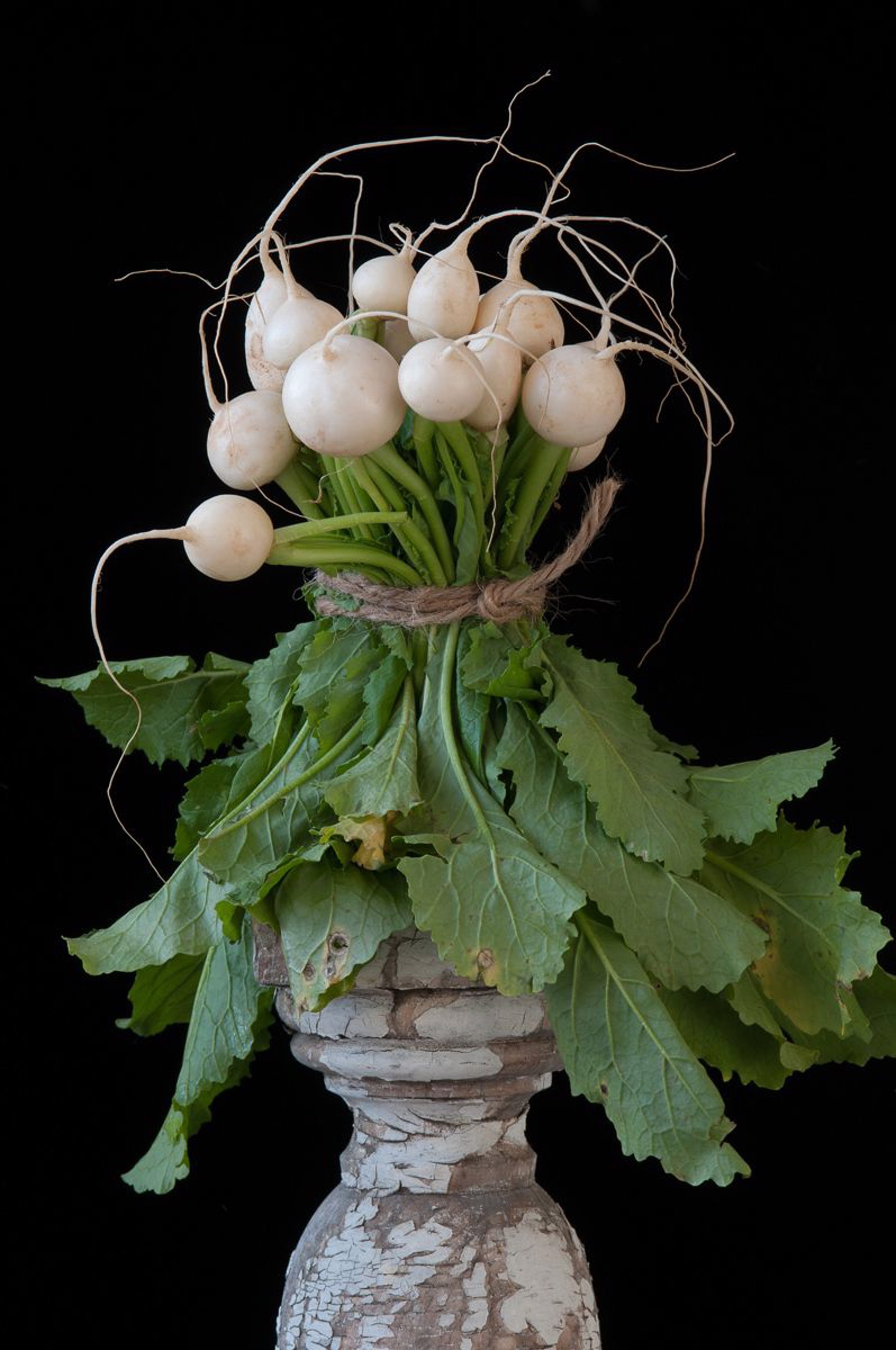 Hakurai Turnips by Lynn Karlin