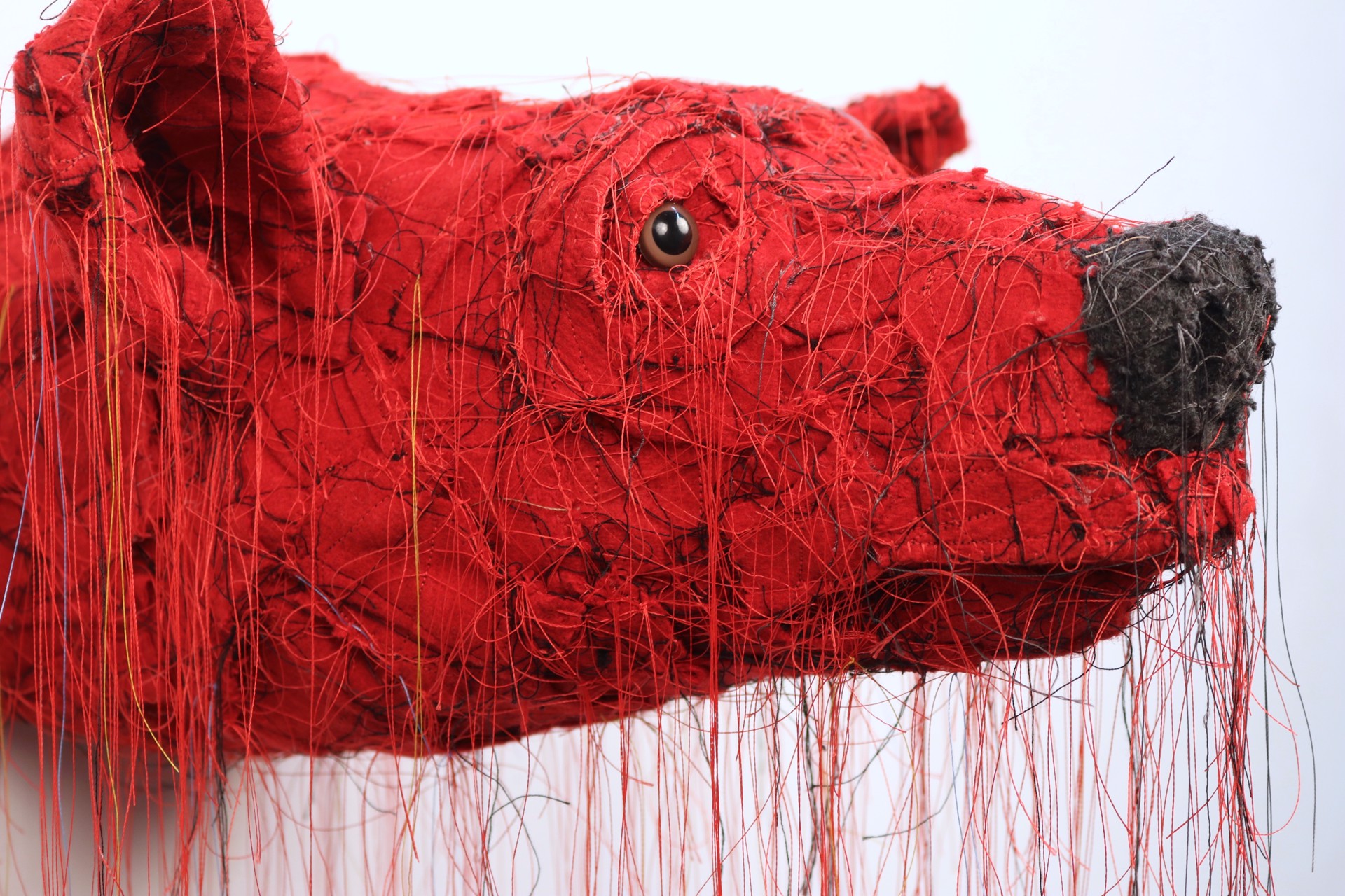 Untitled (Red Bear Head 2) by Robb Putnam