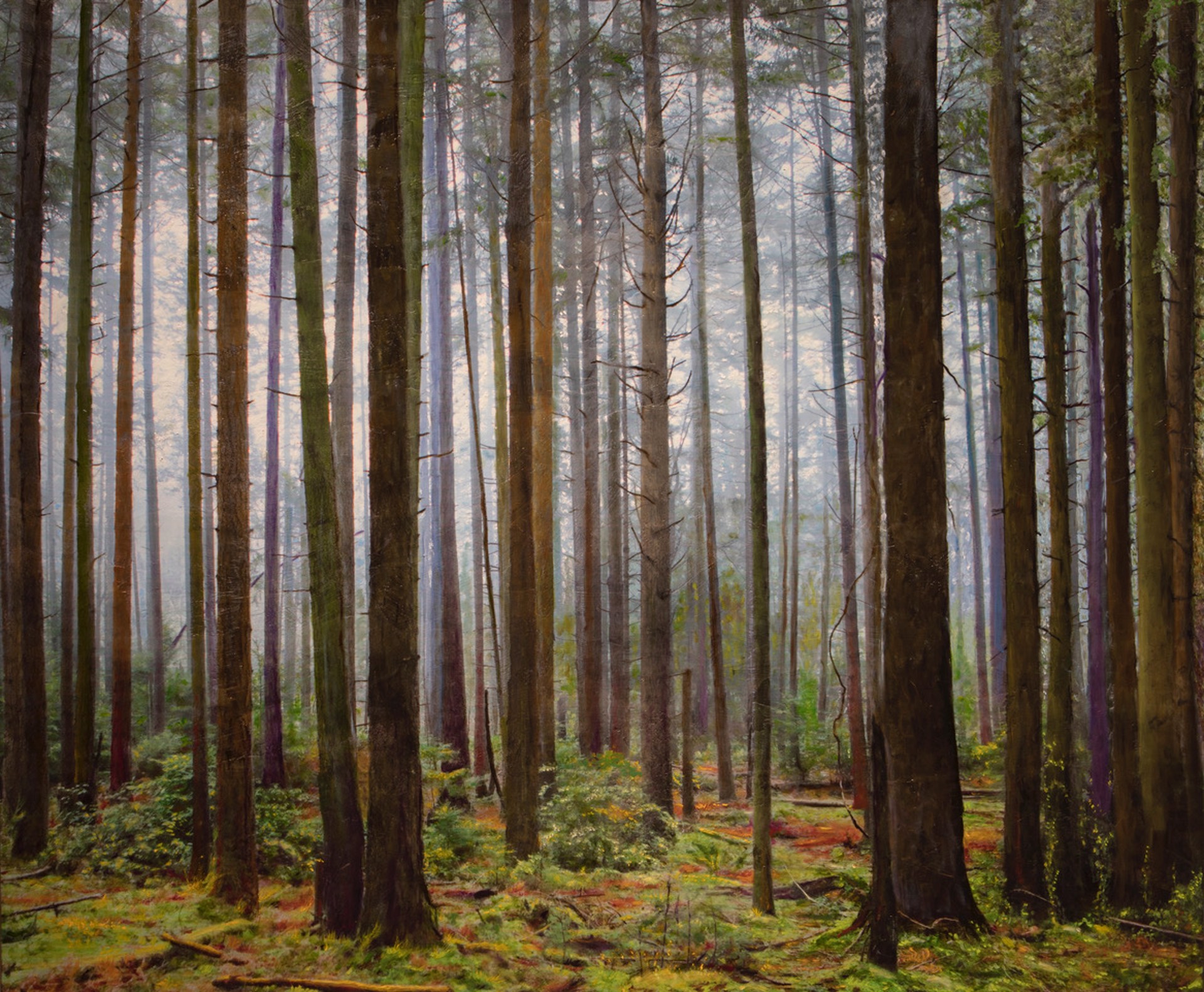 Forest at Evening by S. RUSSELL HALL + T. RISHEL