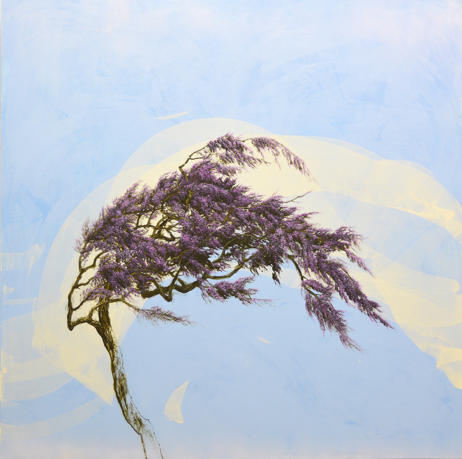 una-bellaza-alegre_40x40
