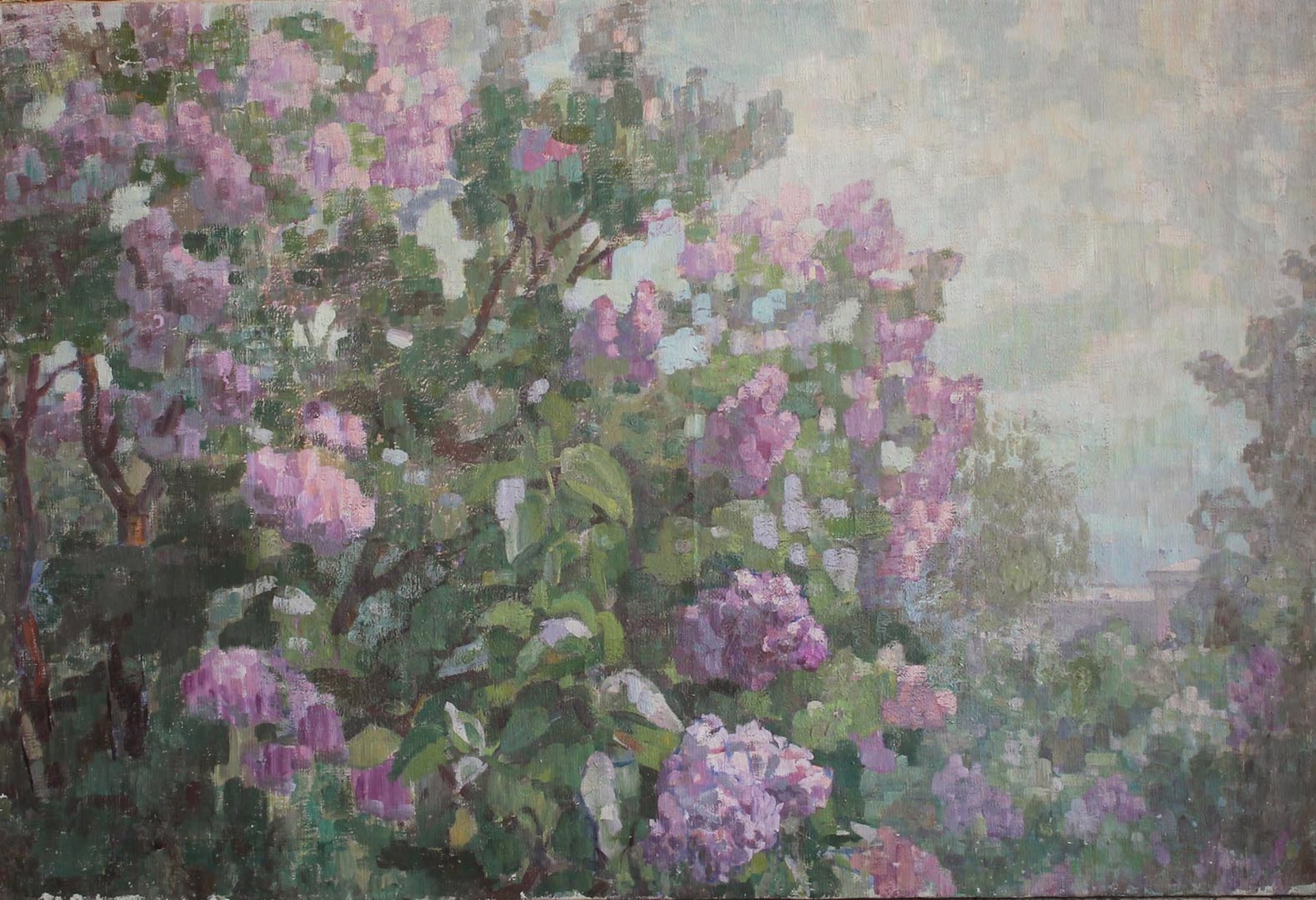 Lilacs by Alexander Mordan