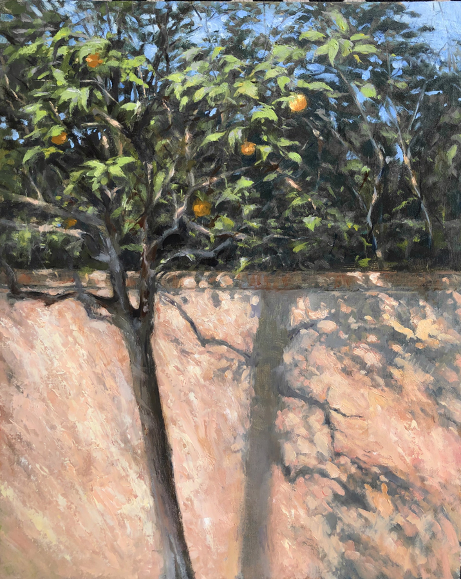 Orchard Wall by Sue Foell