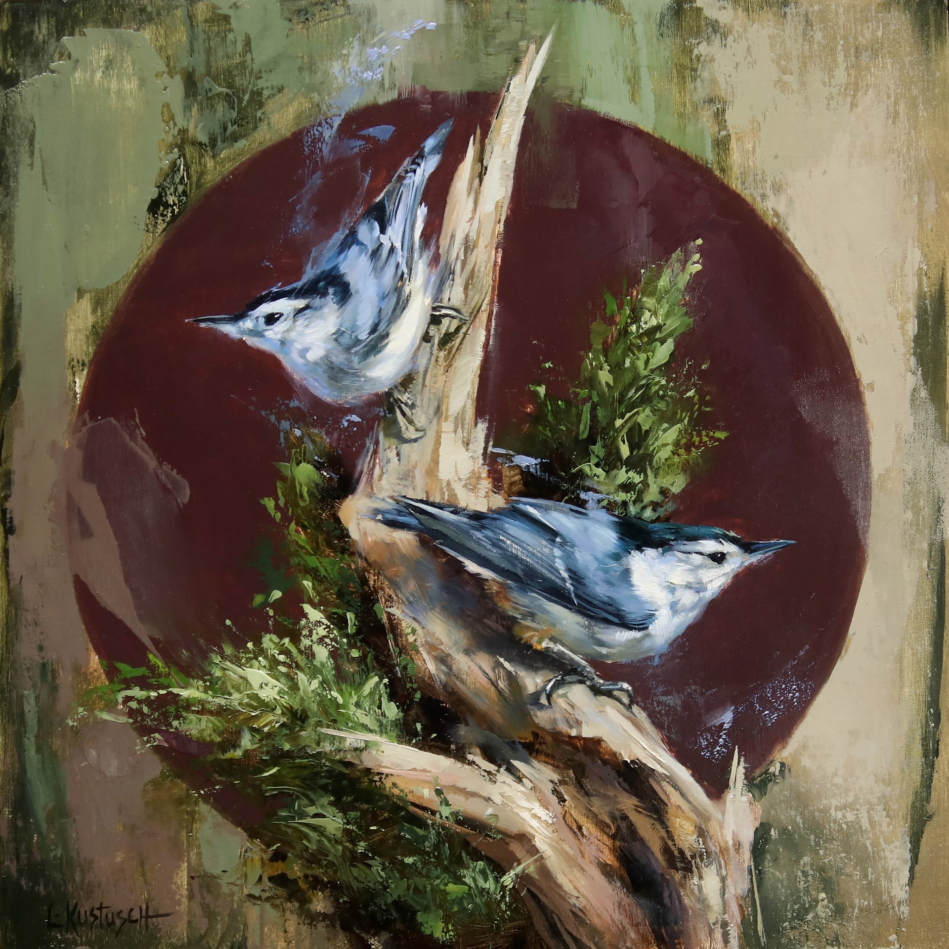 The White-Breasted Nuthatch by Lindsey Kustusch