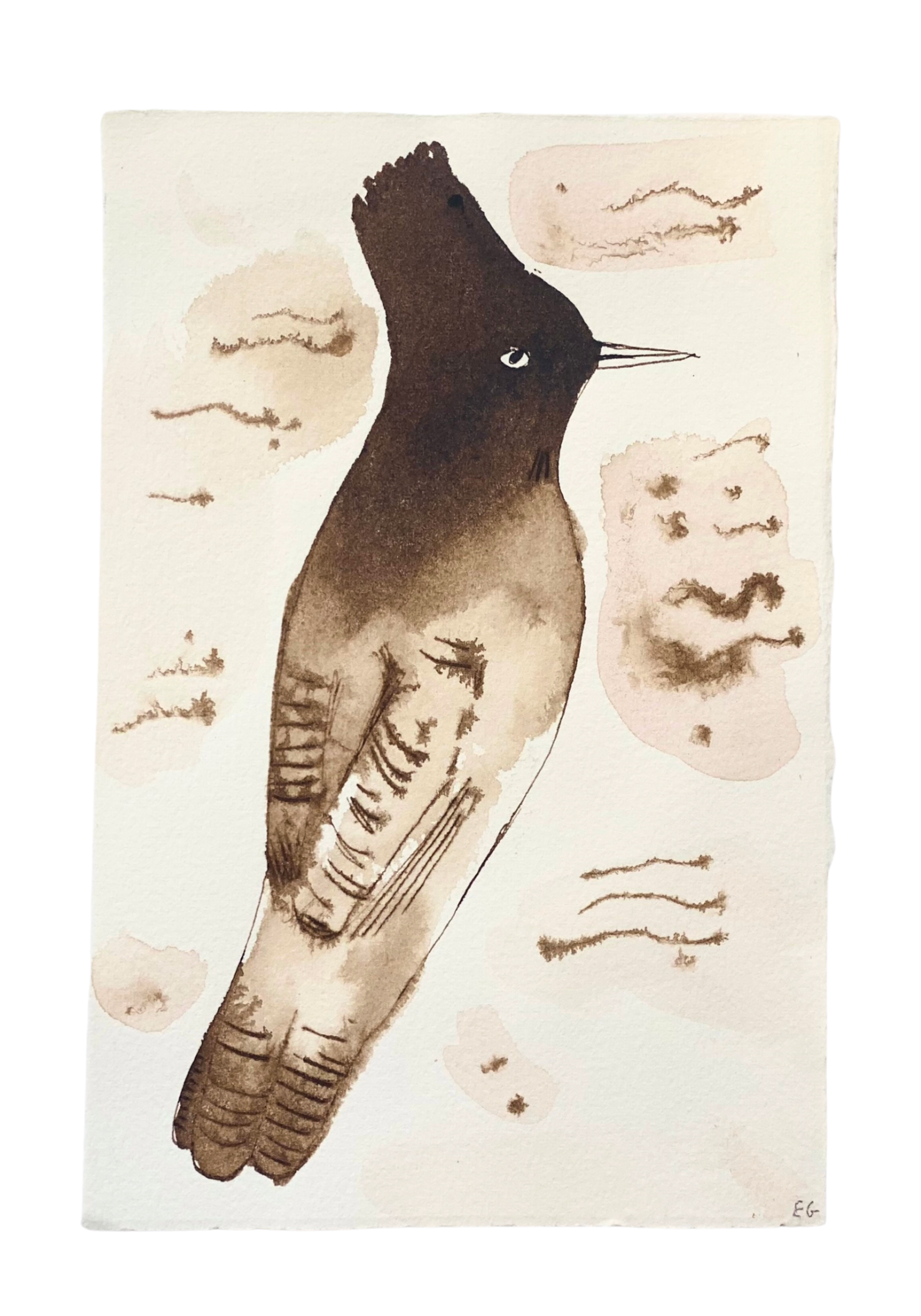 Brown Inkwash Bird #4 by ELIZABETH GRAEBER