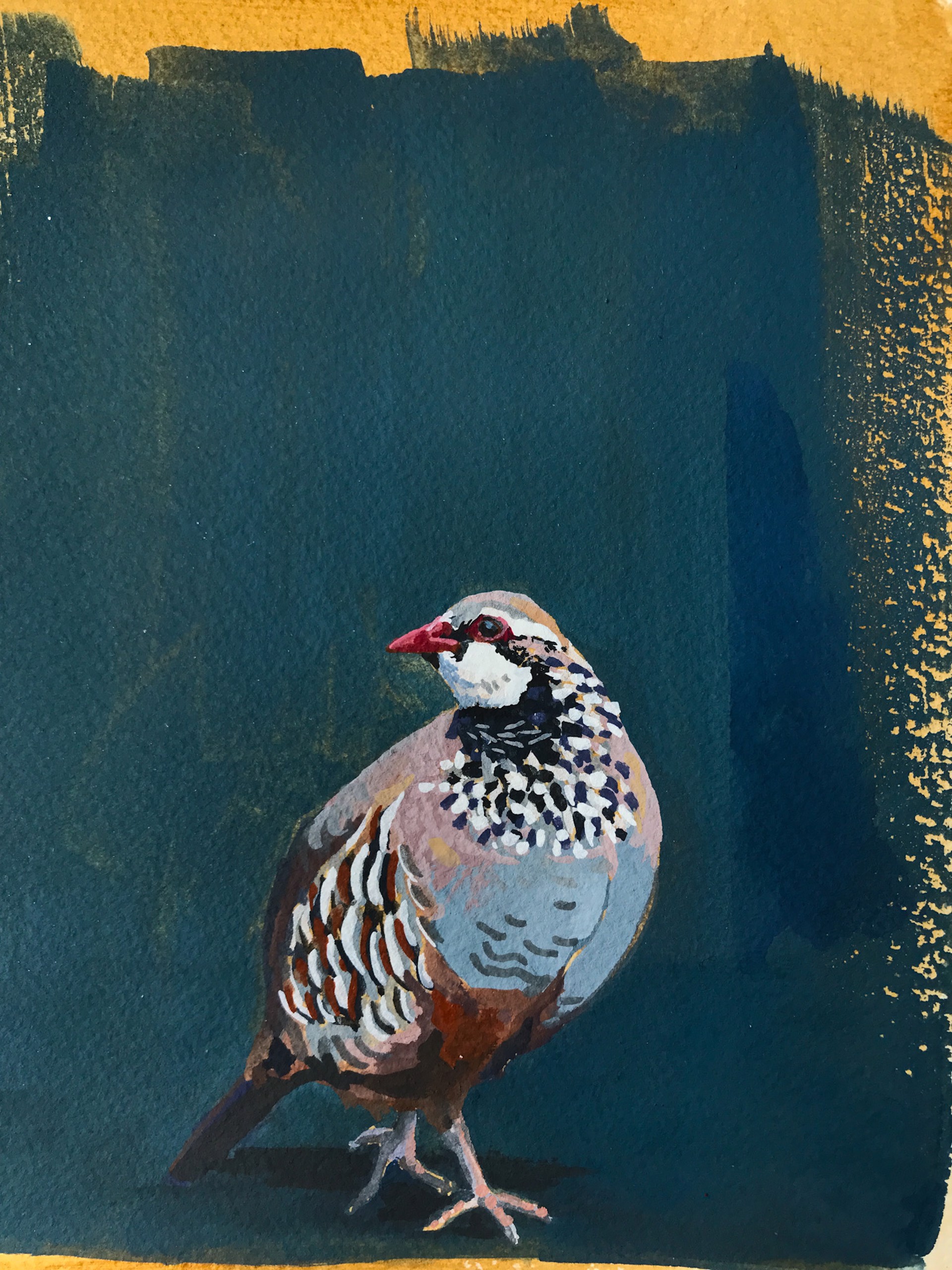 Red Legged Partridge by Noelle Holler
