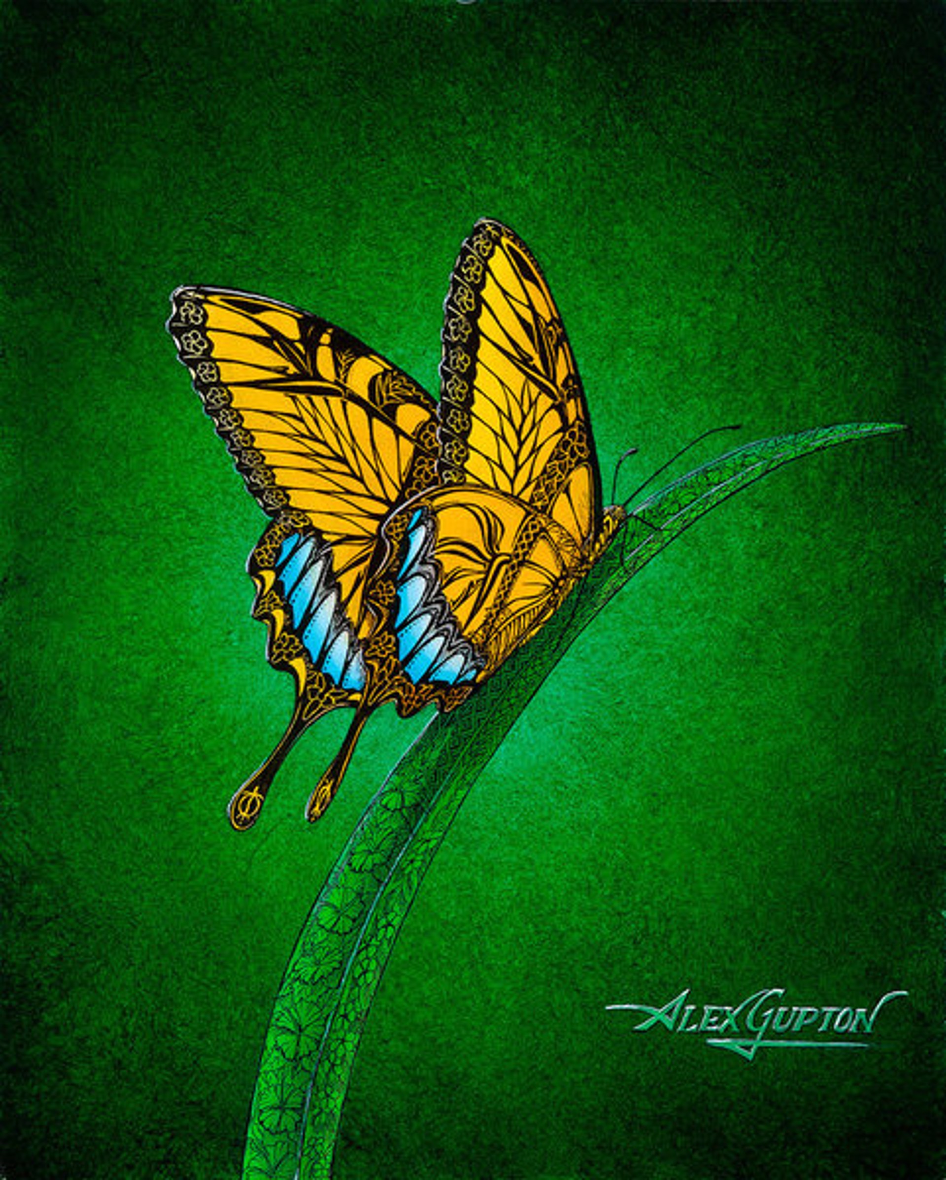 A Delicate Touch by Alex Gupton