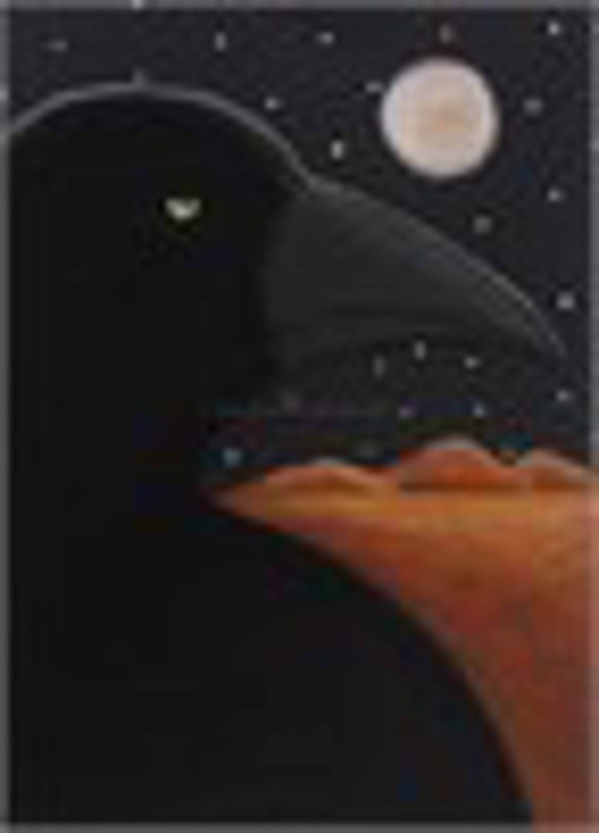 Midnight Raven I -  MEDIUM Framed $2200 by Carole LaRoche
