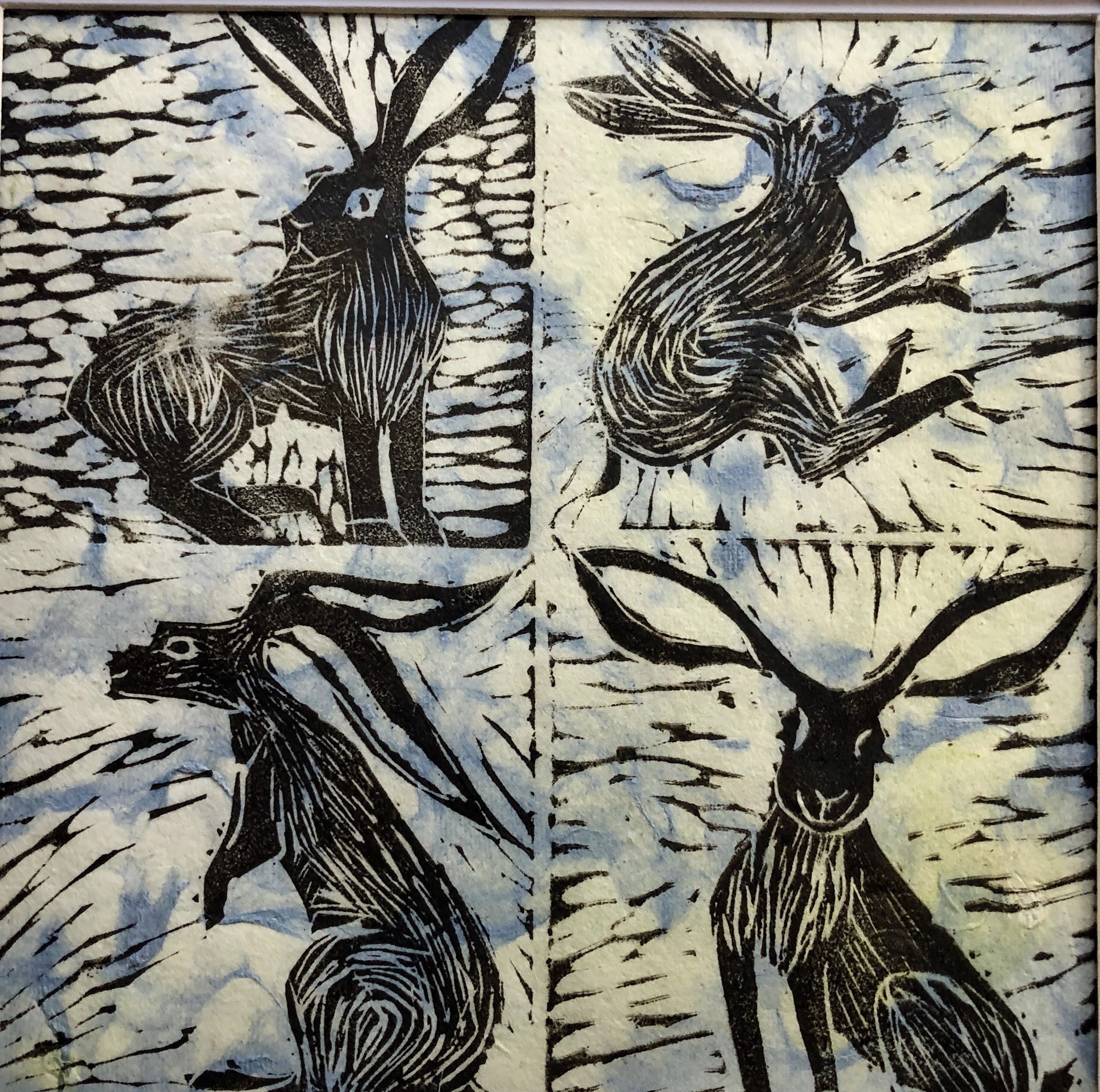 Jackrabbit Joy by Pamela Hollinde