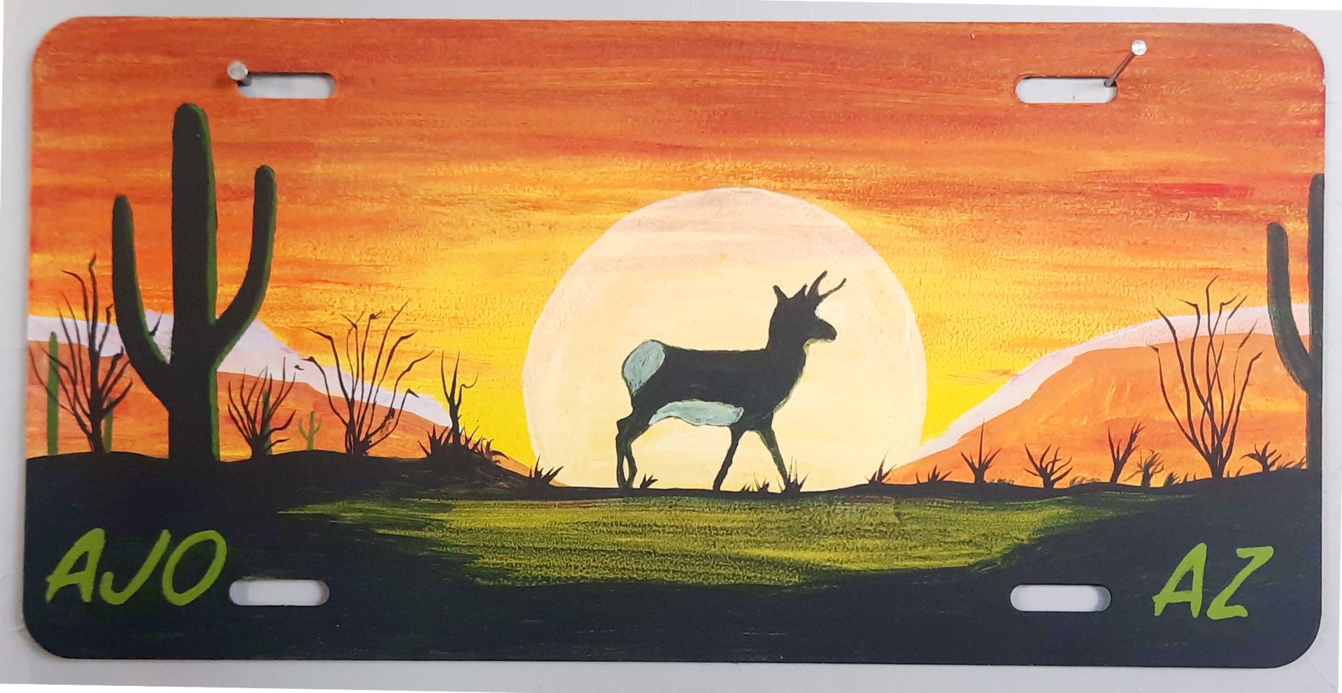 Pronghorn Sunset, License Plate, 117 by John Wulf