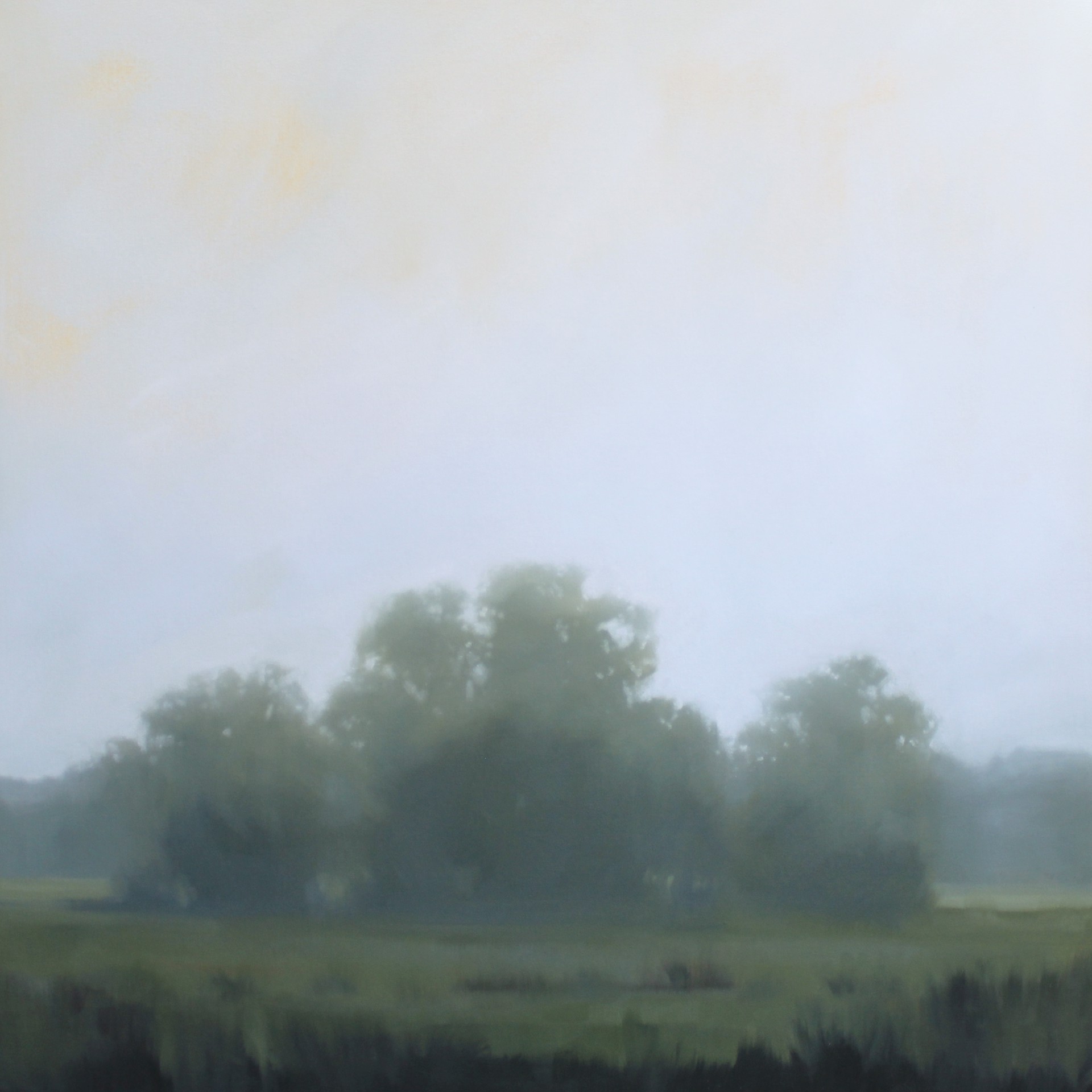 Field Mist- ON HOLD by Megan Lightell