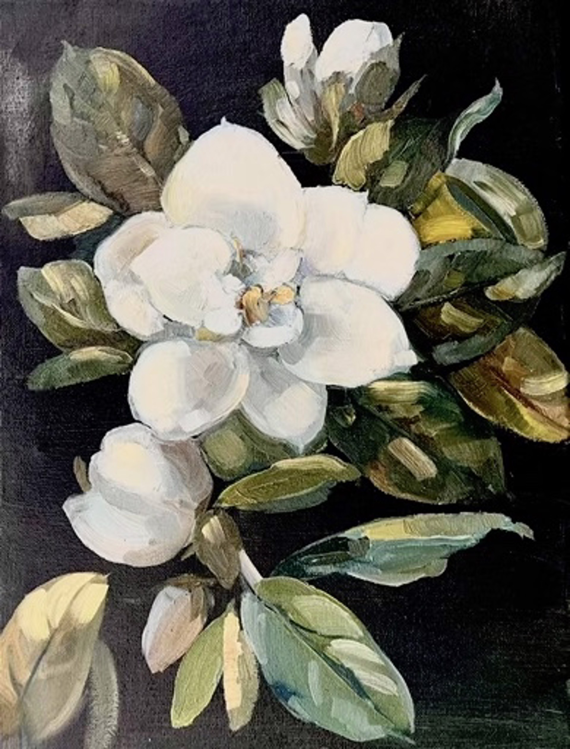 Magnolia Study #3 by Donna Hughes