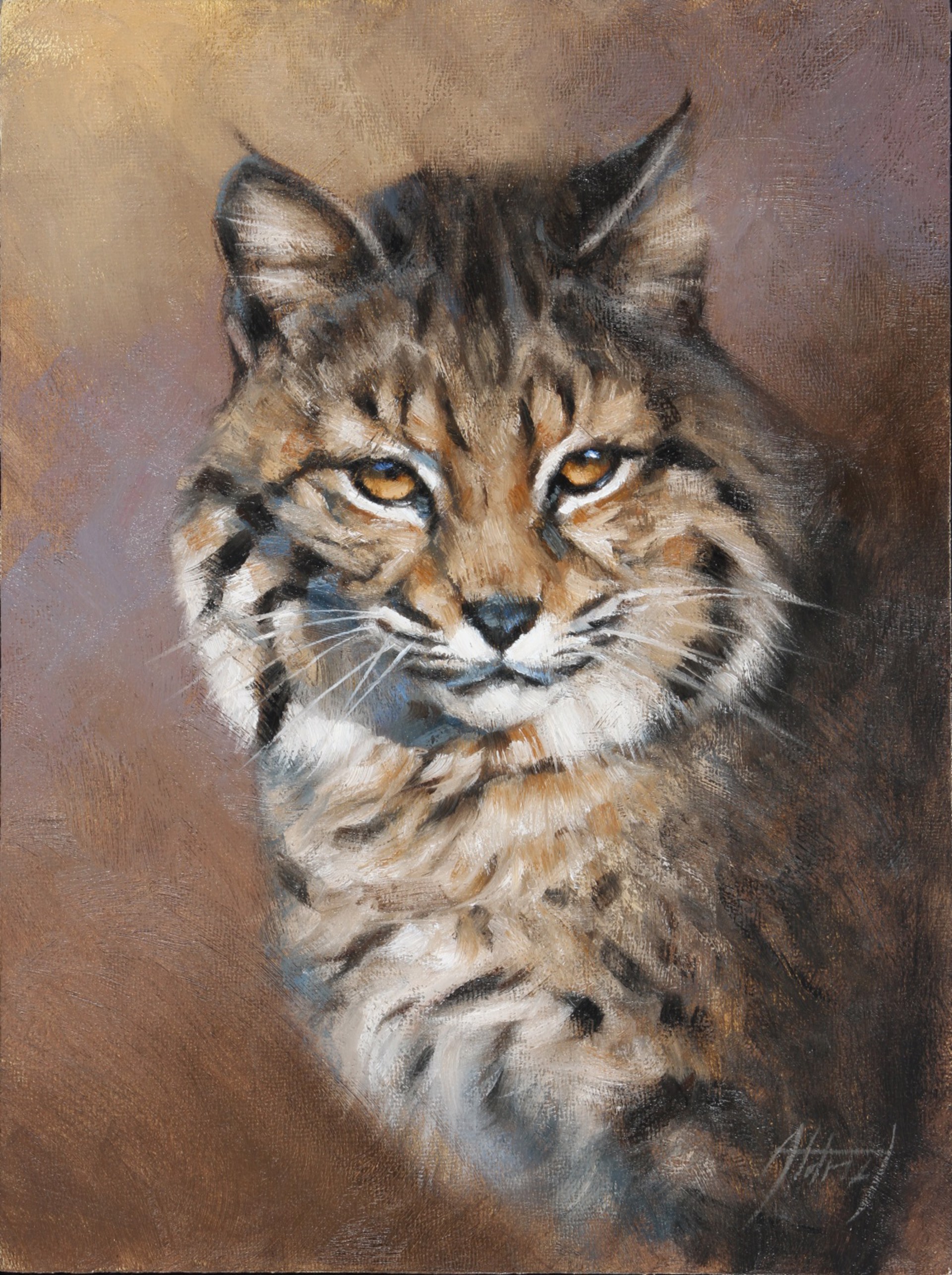 Bobcat Portrait by Ed Aldrich