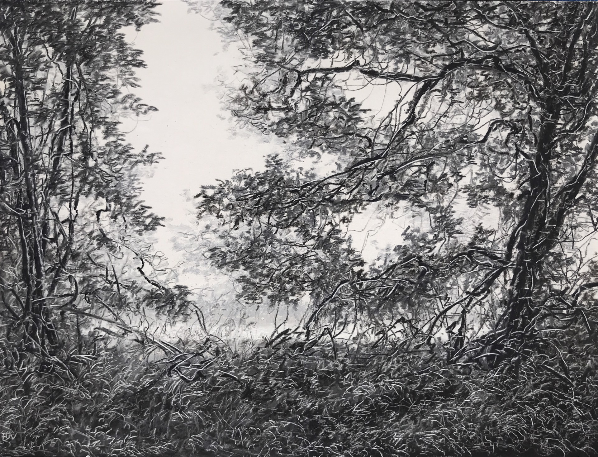 Tangled Oaks in a Meadow by Ellen Wagener