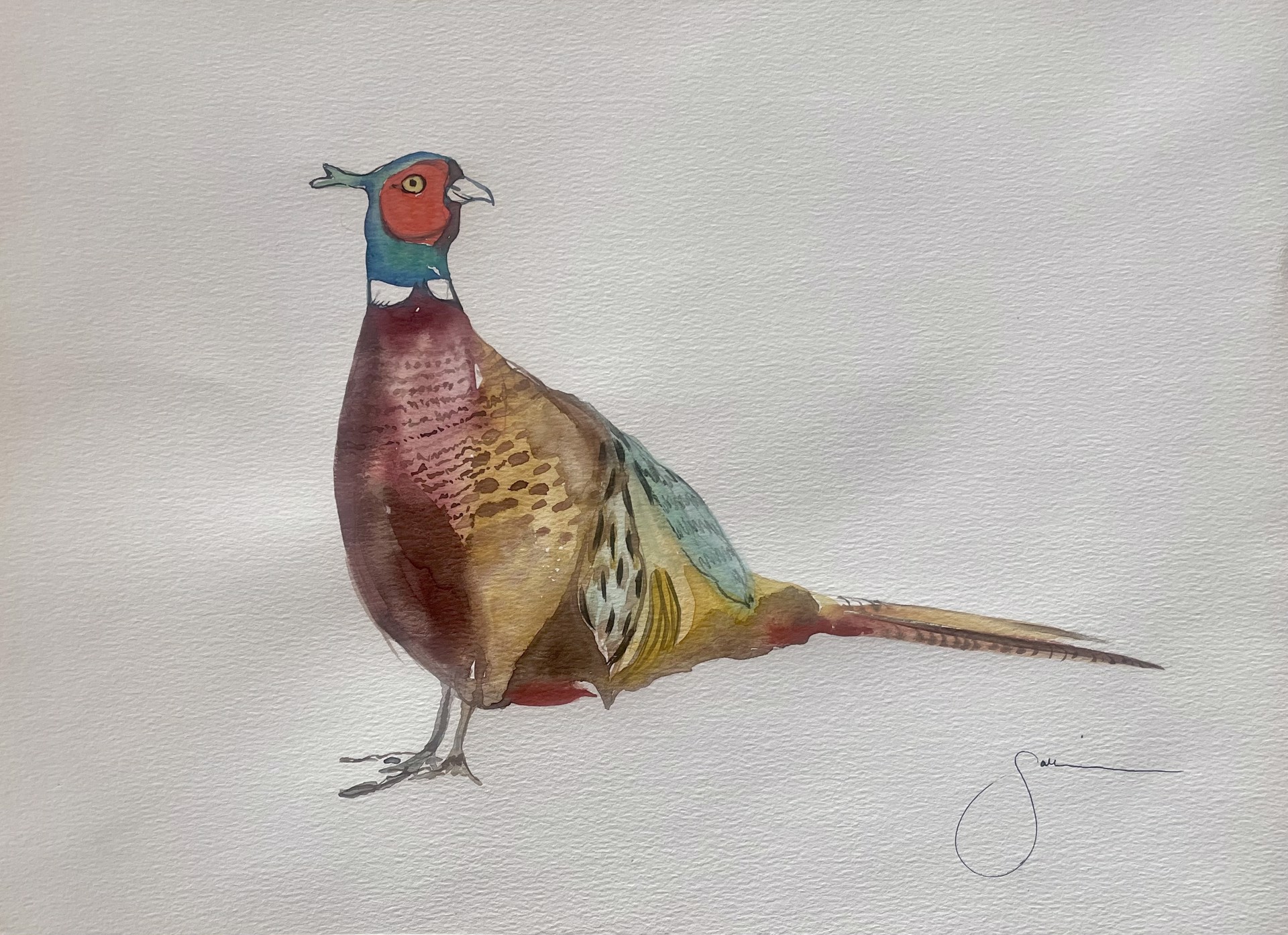 Birds of a Feather (Pheasant) by Sallie Strickland