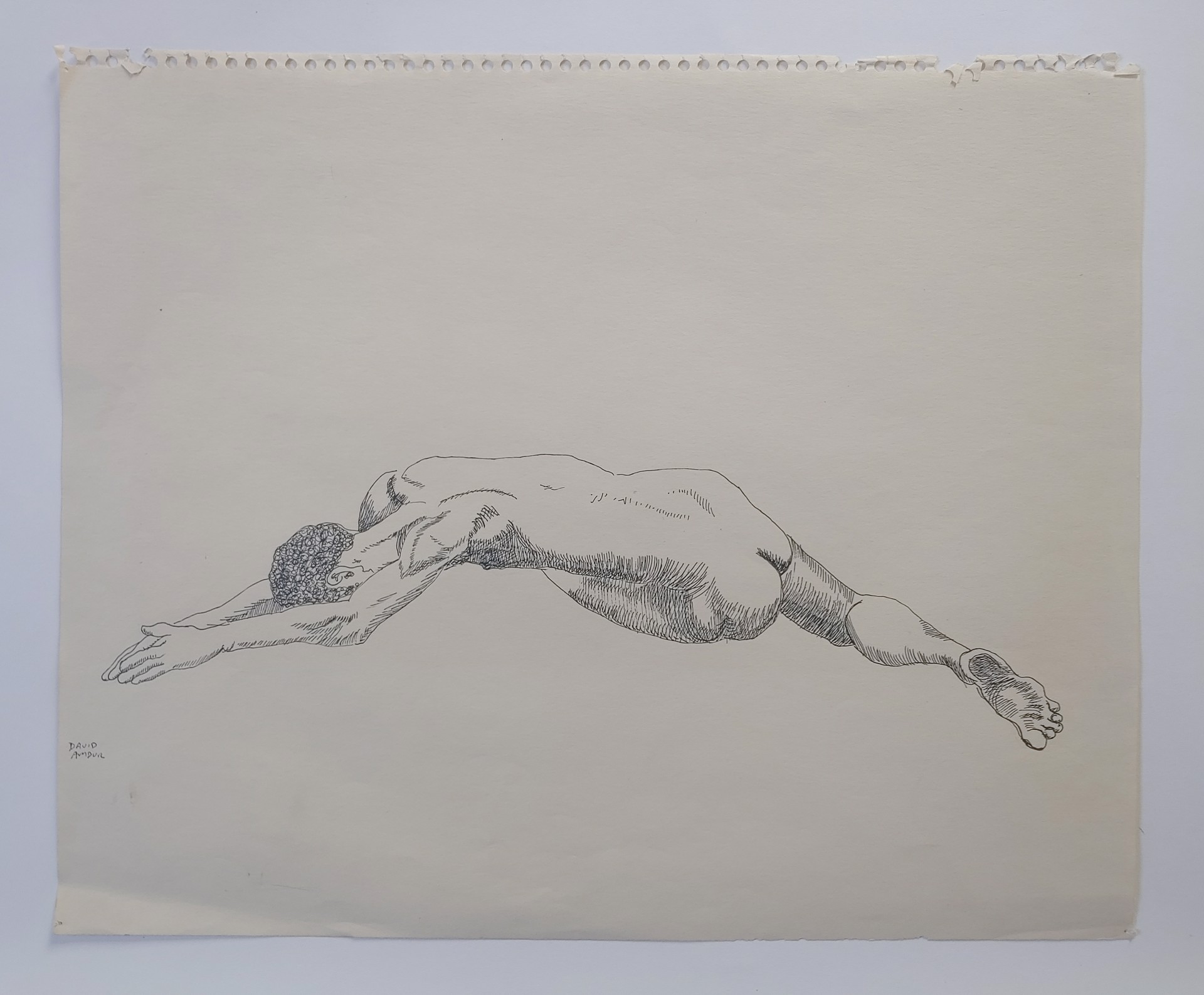 Nude in Ink - Drawing by David Amdur