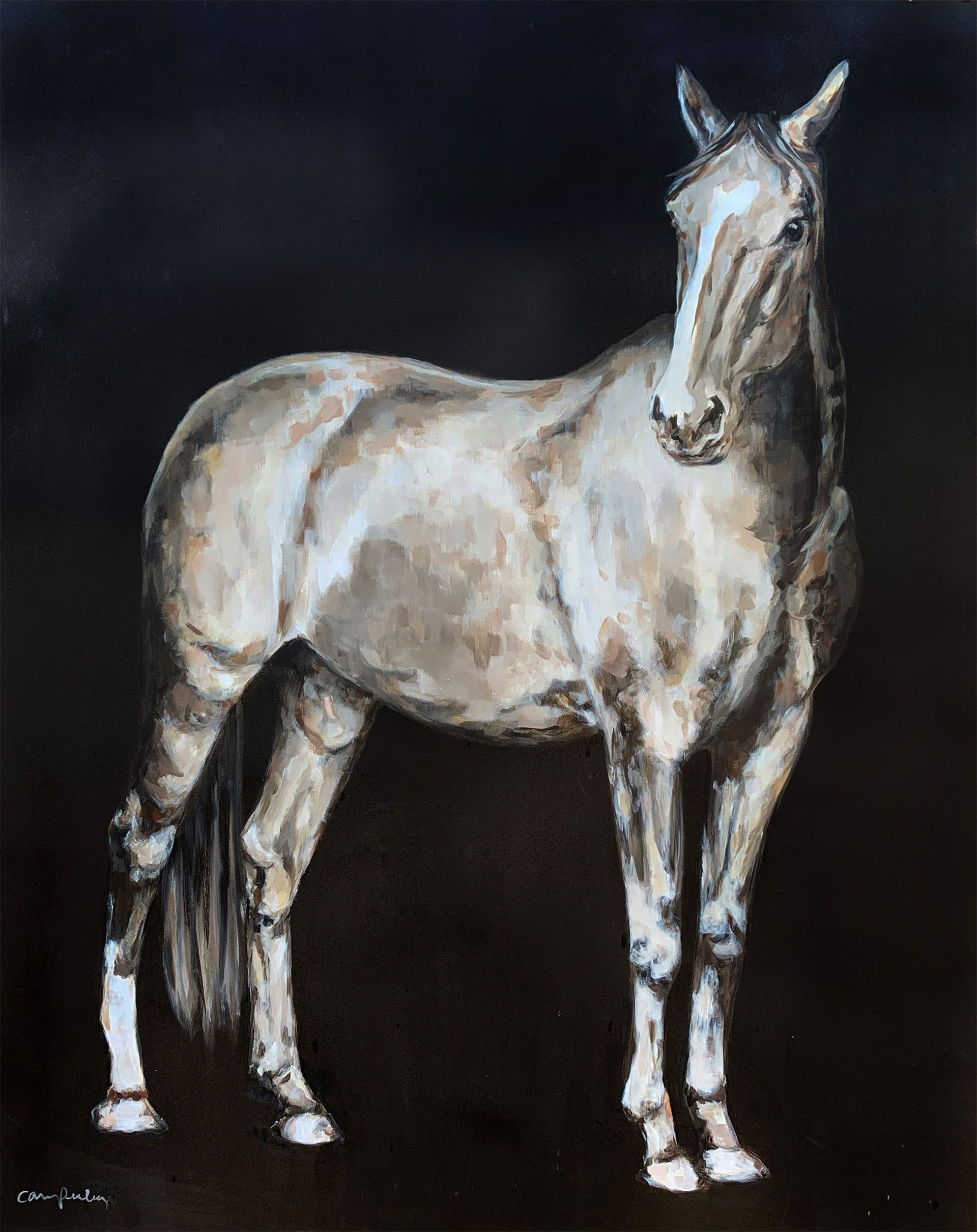 Original Painting Of A White Horse Standing Featuring  A Black Background , By Carrie Penley