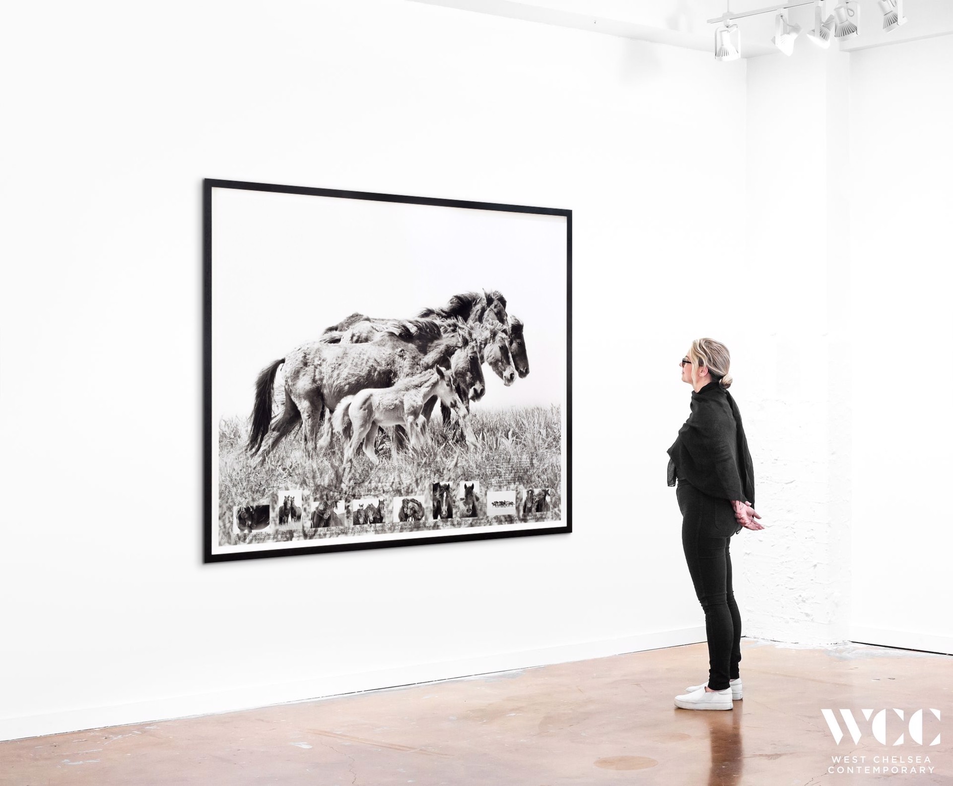 Generations- The Wild Horses of Sable Island by Roberto Dutesco