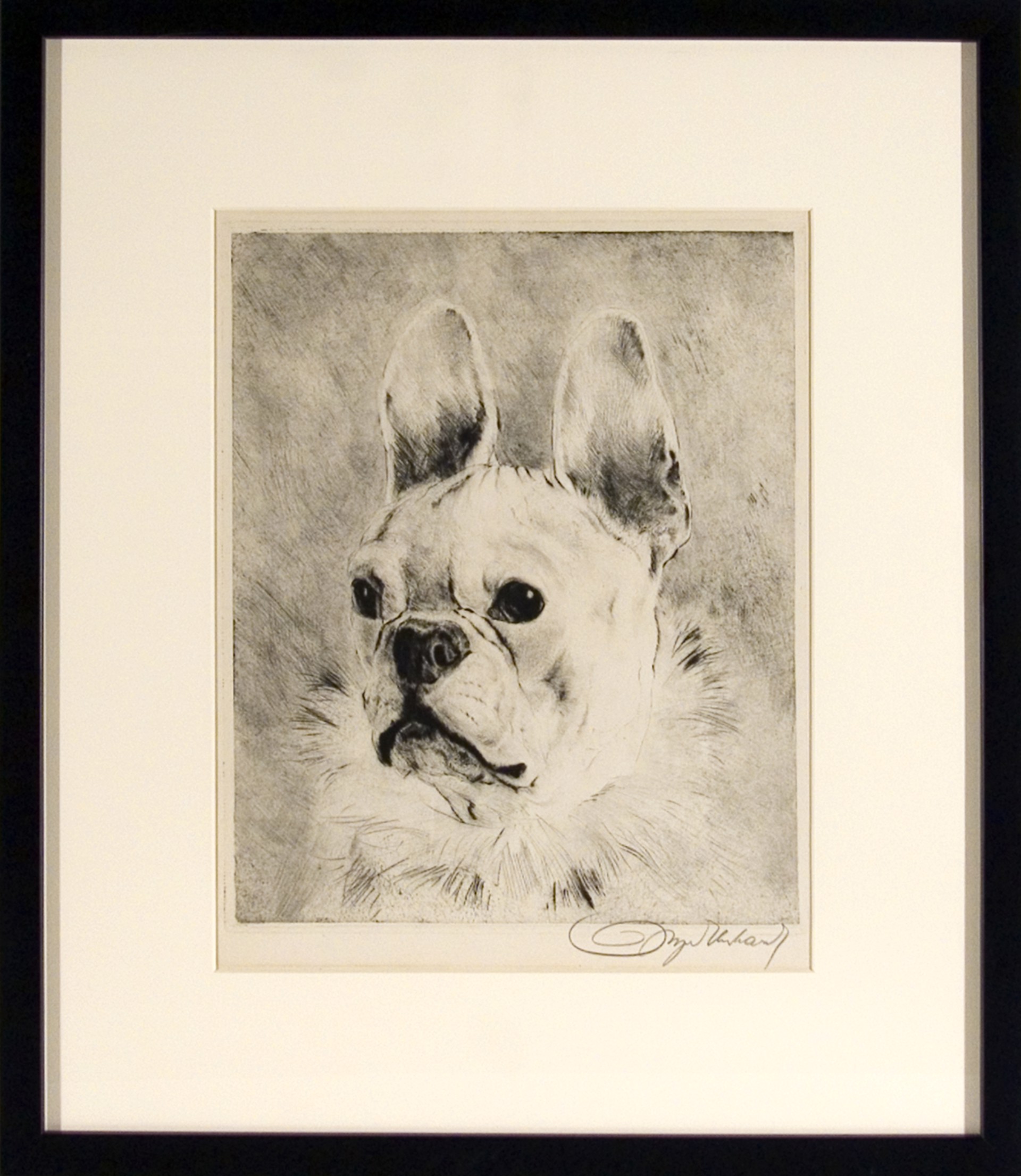 French Bulldog by Kurt Meyer-Eberhardt