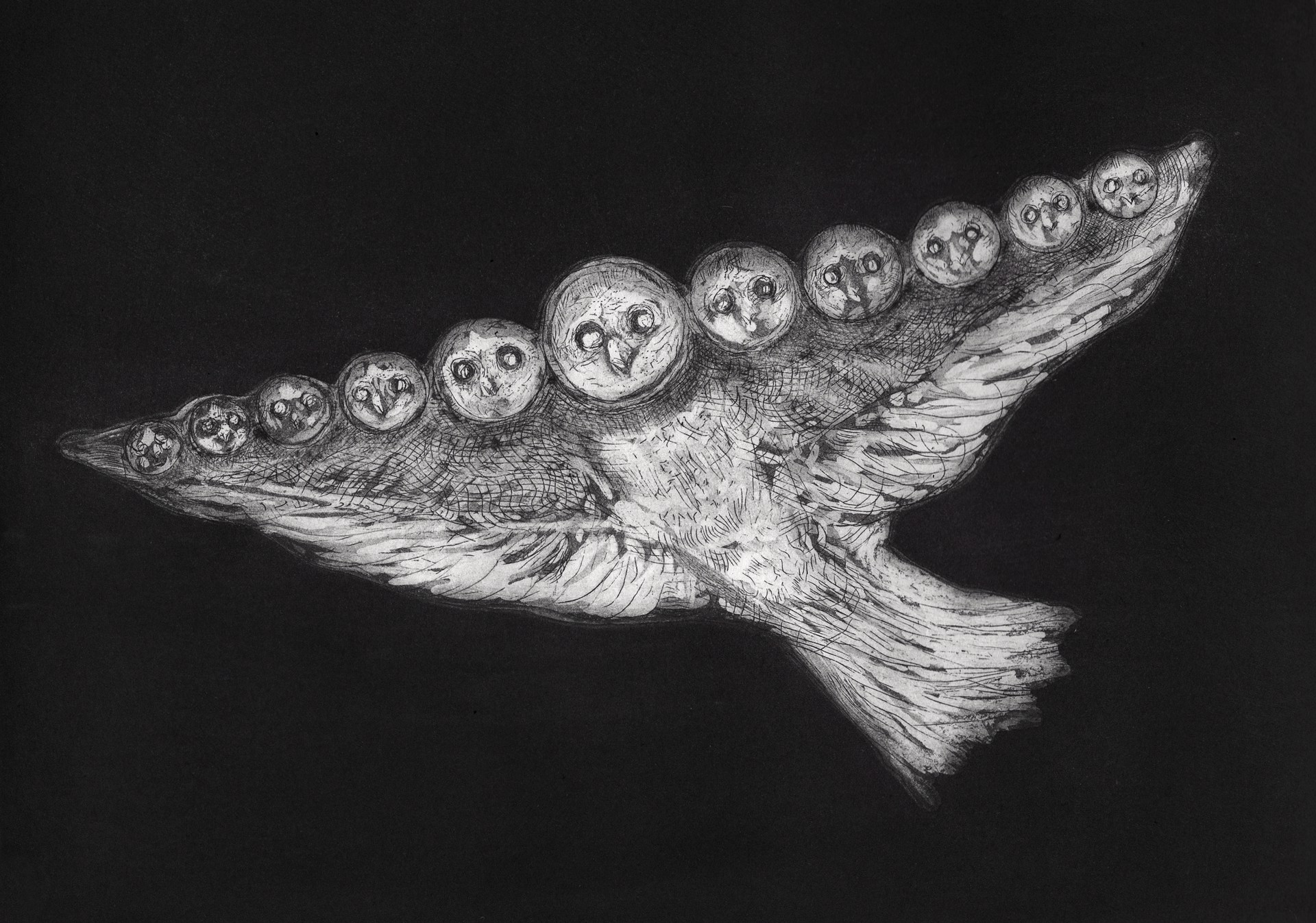 Untitled (Owl) by Alfonso Barrera
