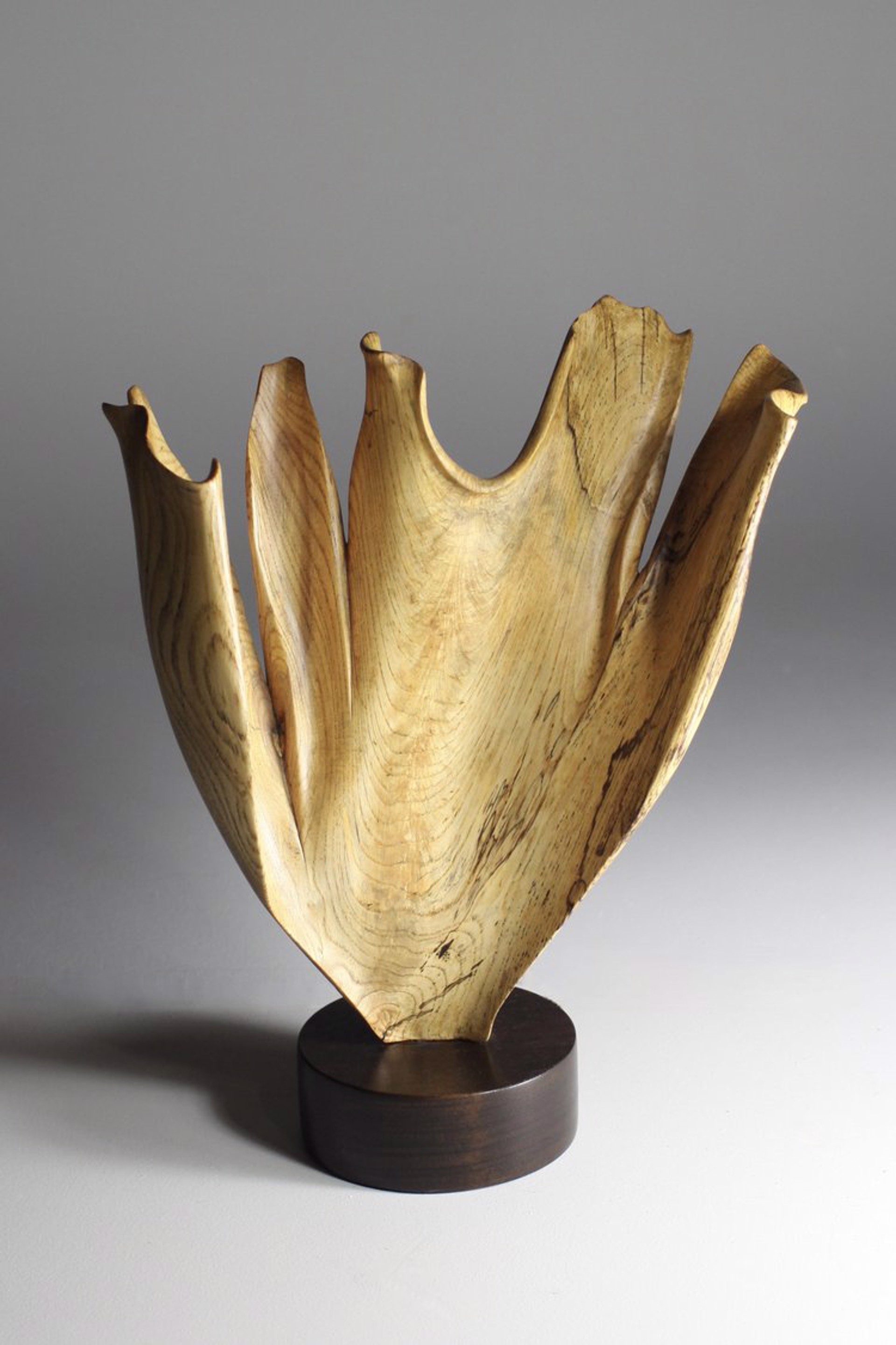Flourish #12 by Barry Newstat