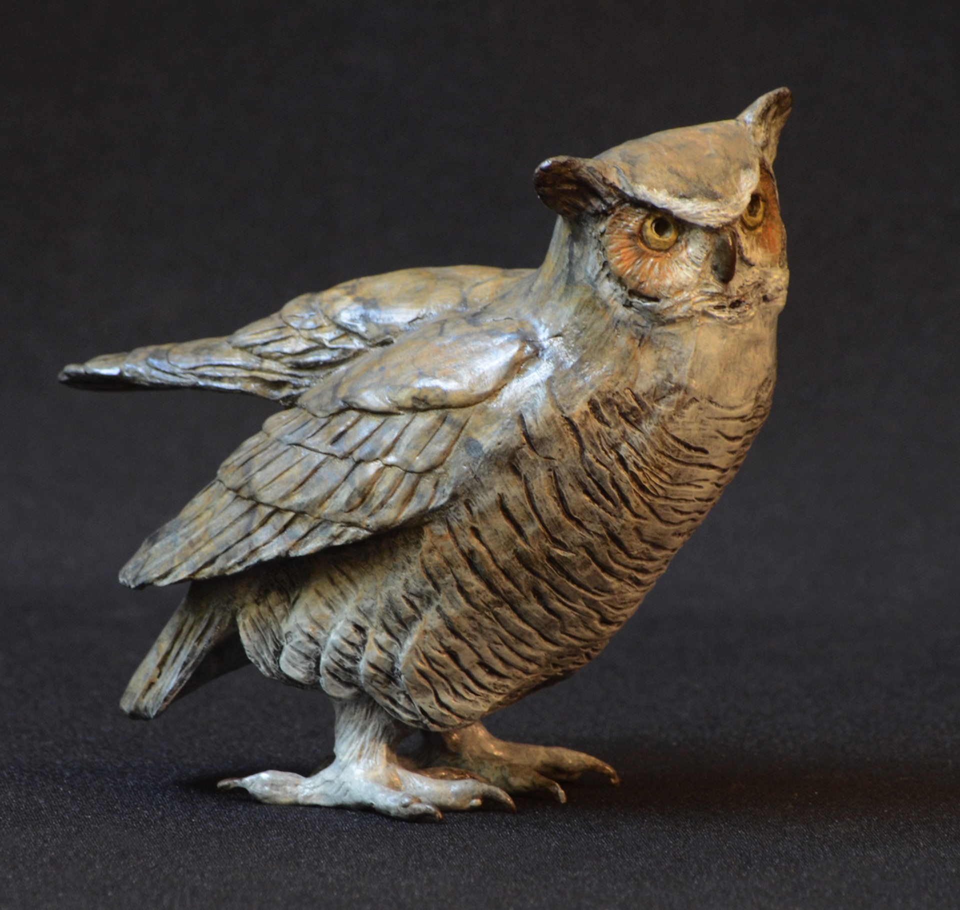 Small Horned Owl IV by Jim Eppler