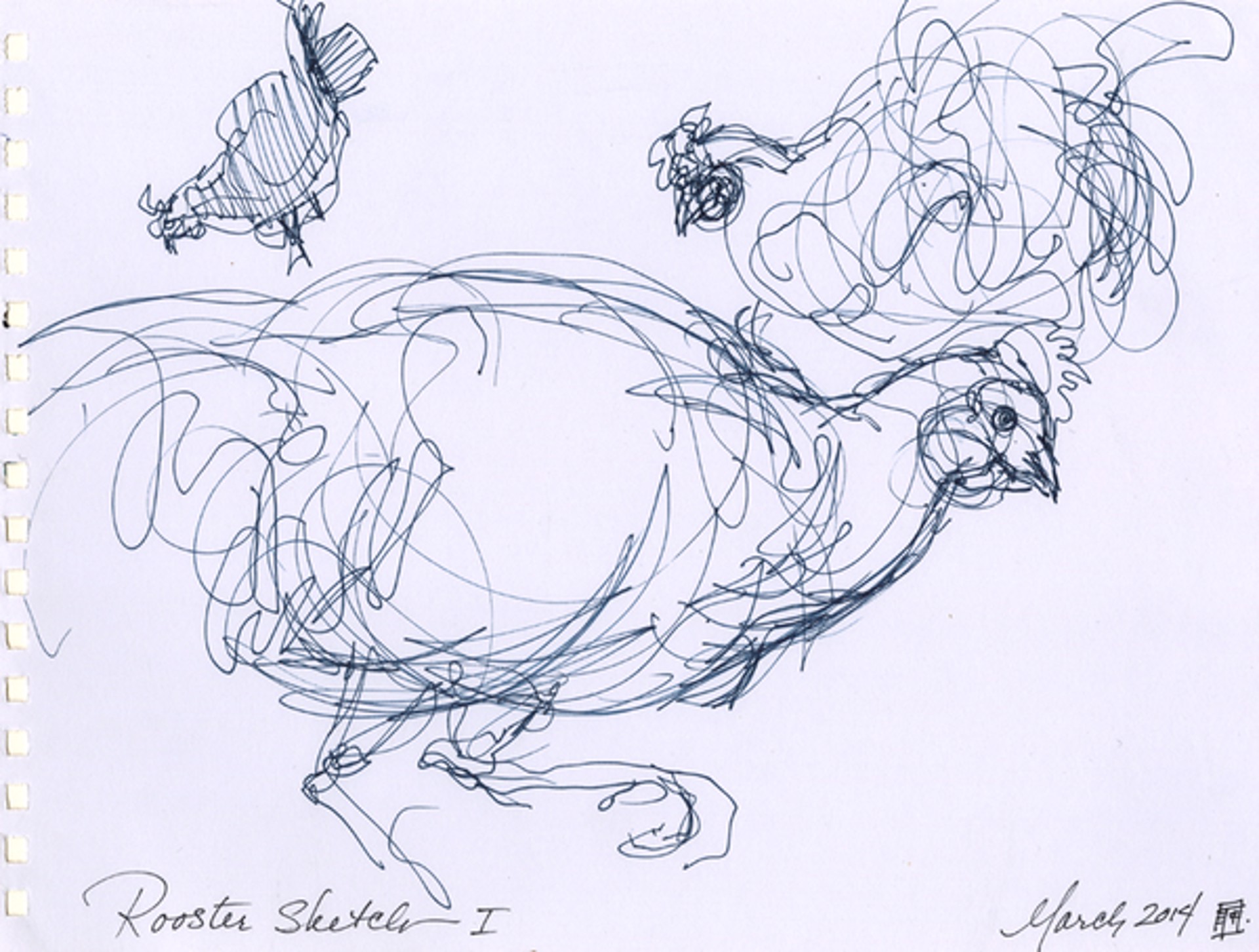Rooster Sketch I by Tracey Padron