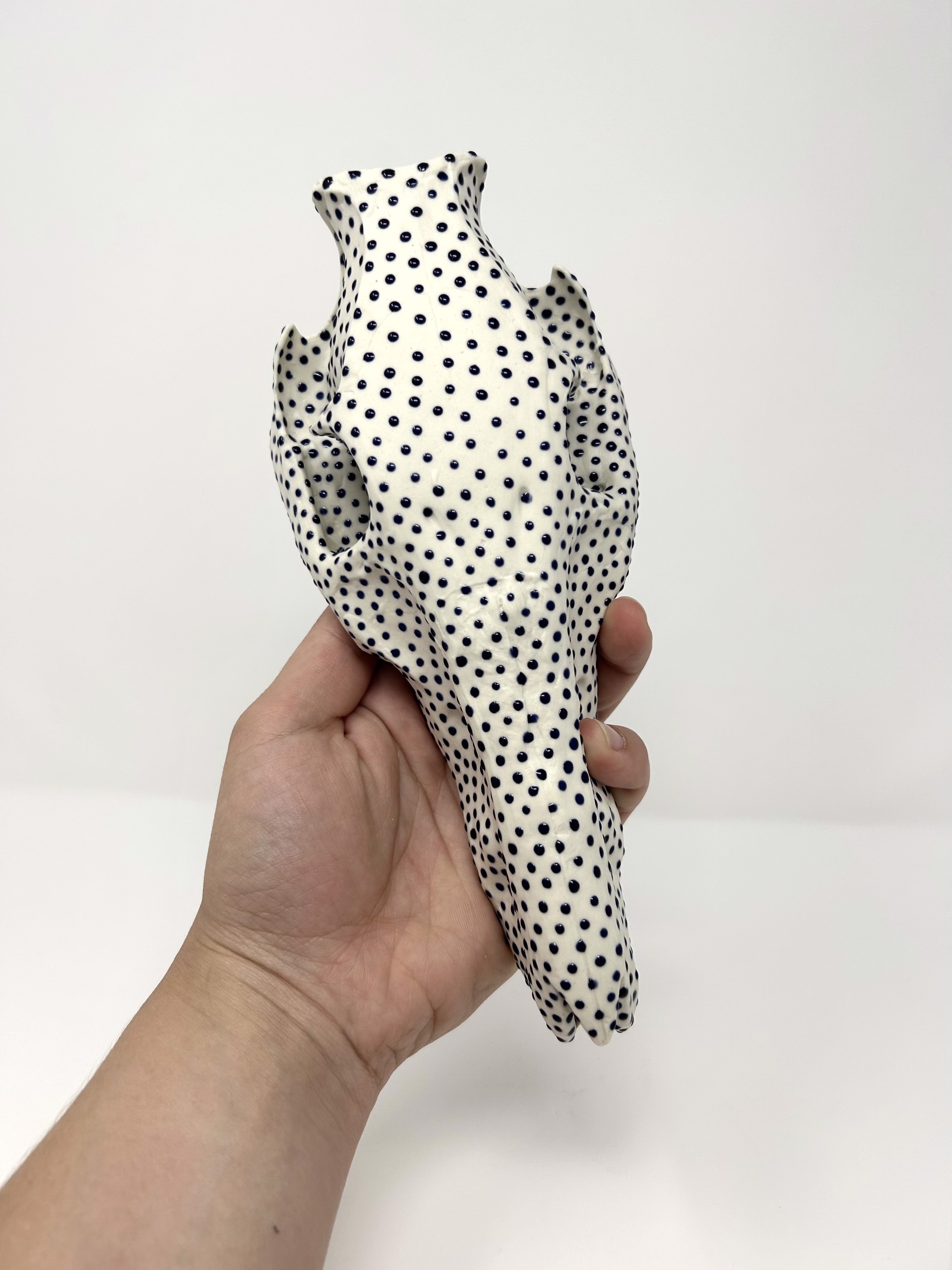 Javelina (royal blue) by Sam Shamard